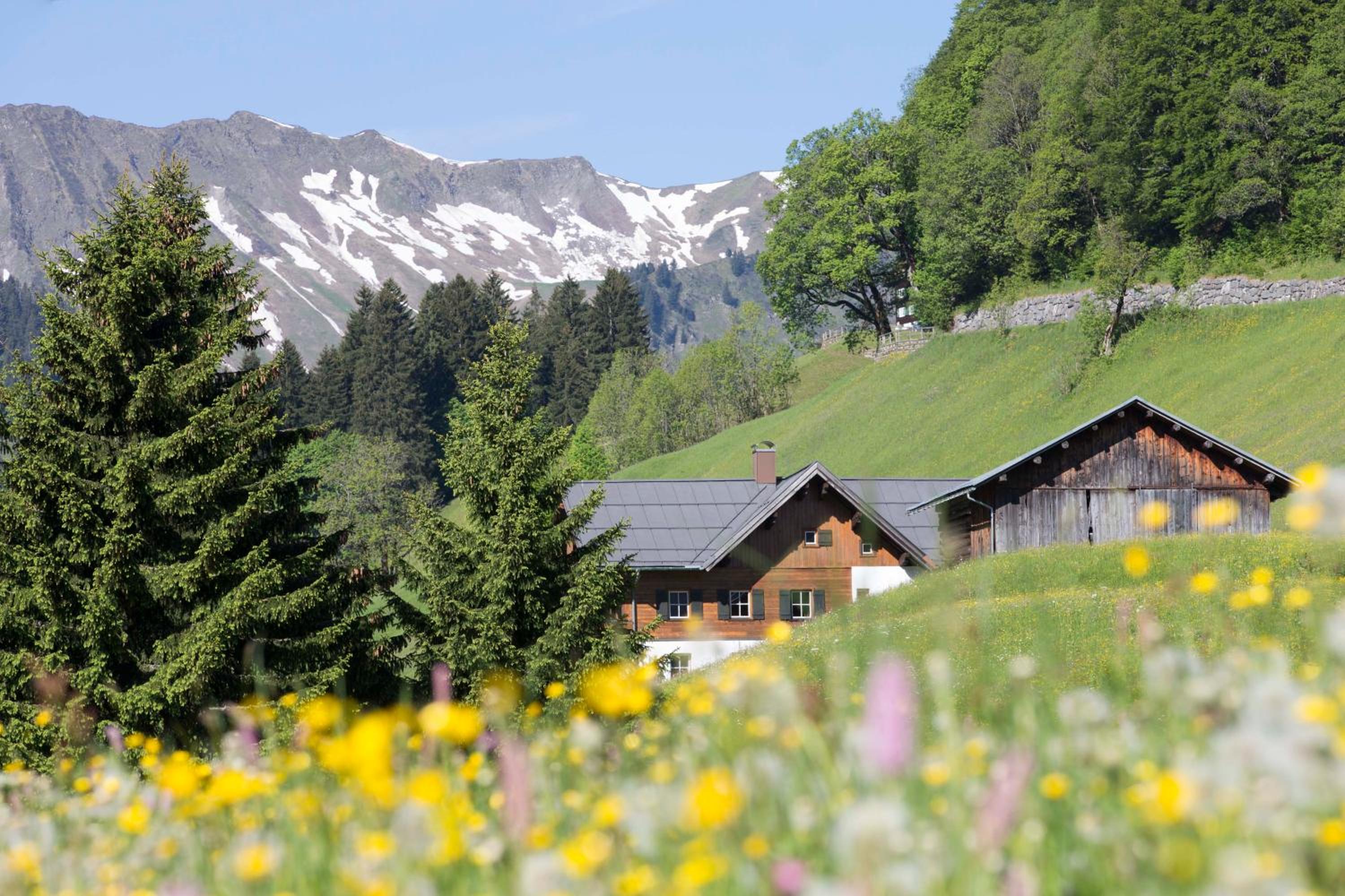 Bödmerhof view 3