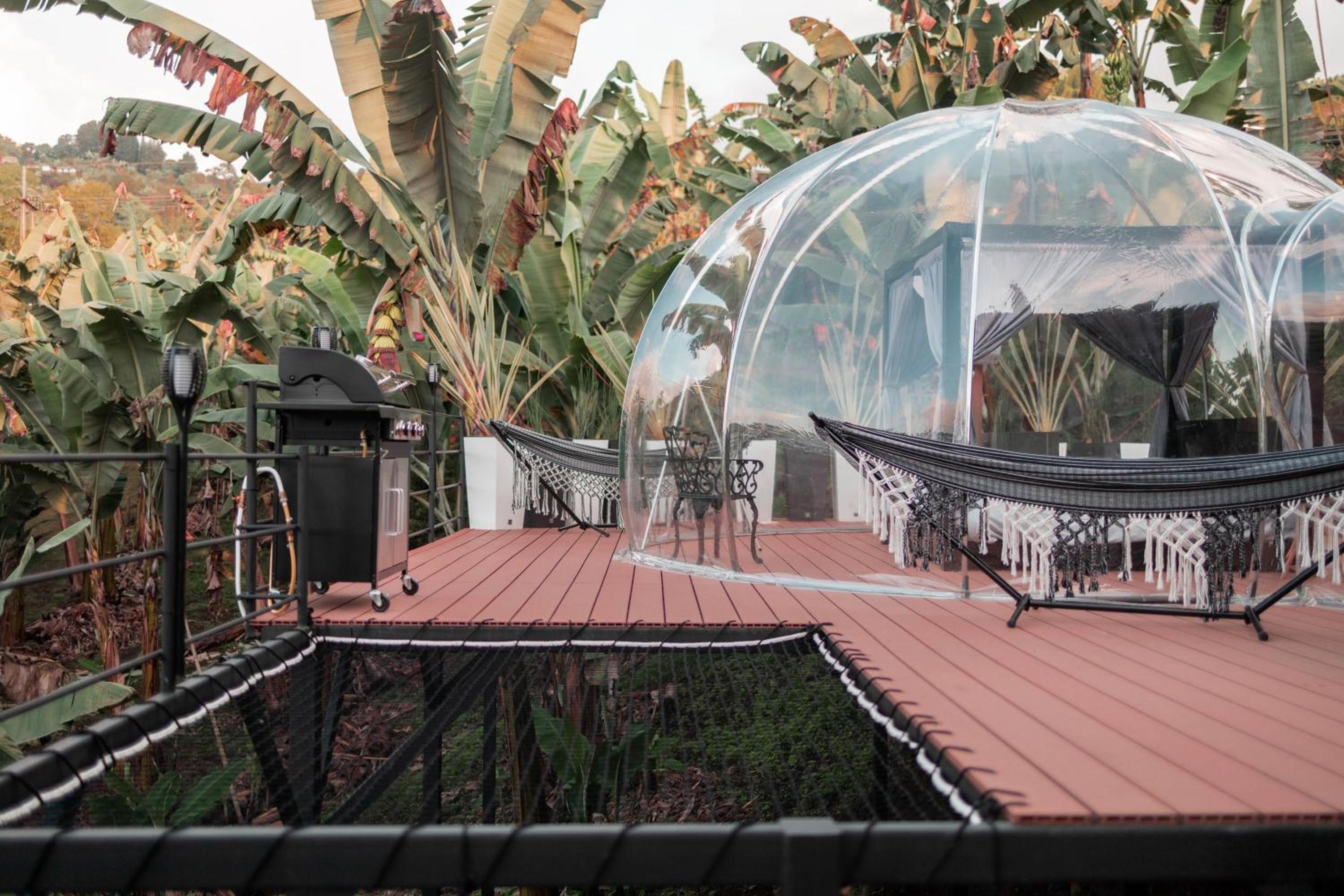 Chamí Glamping