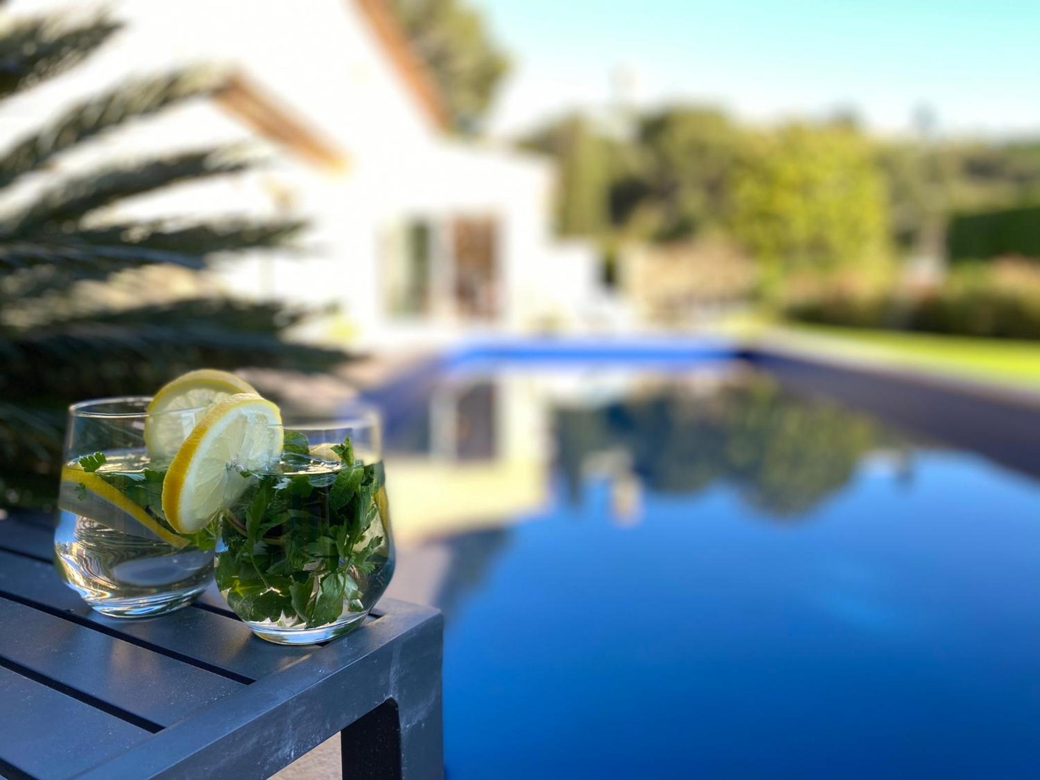 Luxury villa in Cannes with swimming pool & sea view photo 4