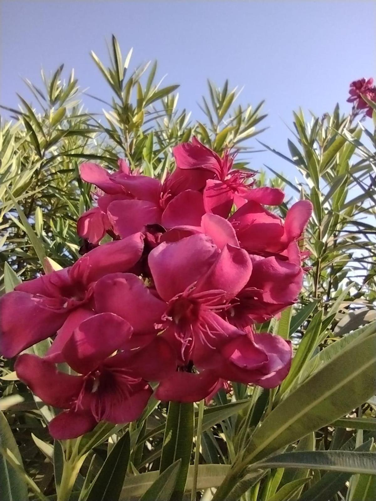 Photo 40