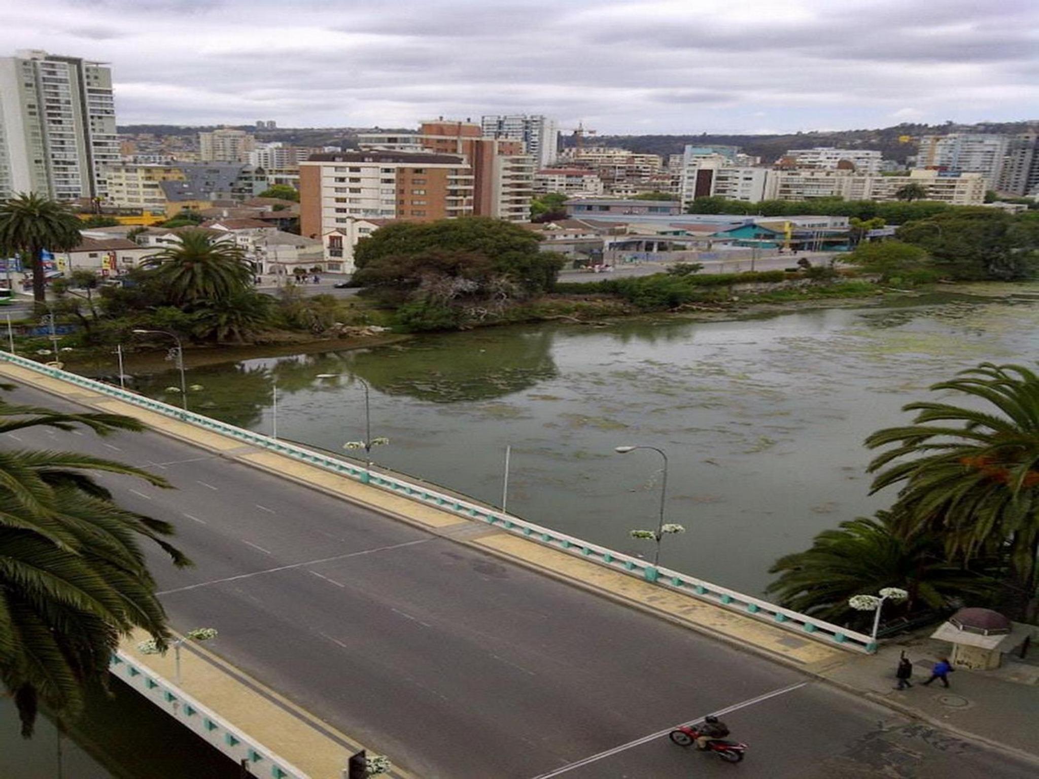Departamento Viña del Mar Rapa Nui