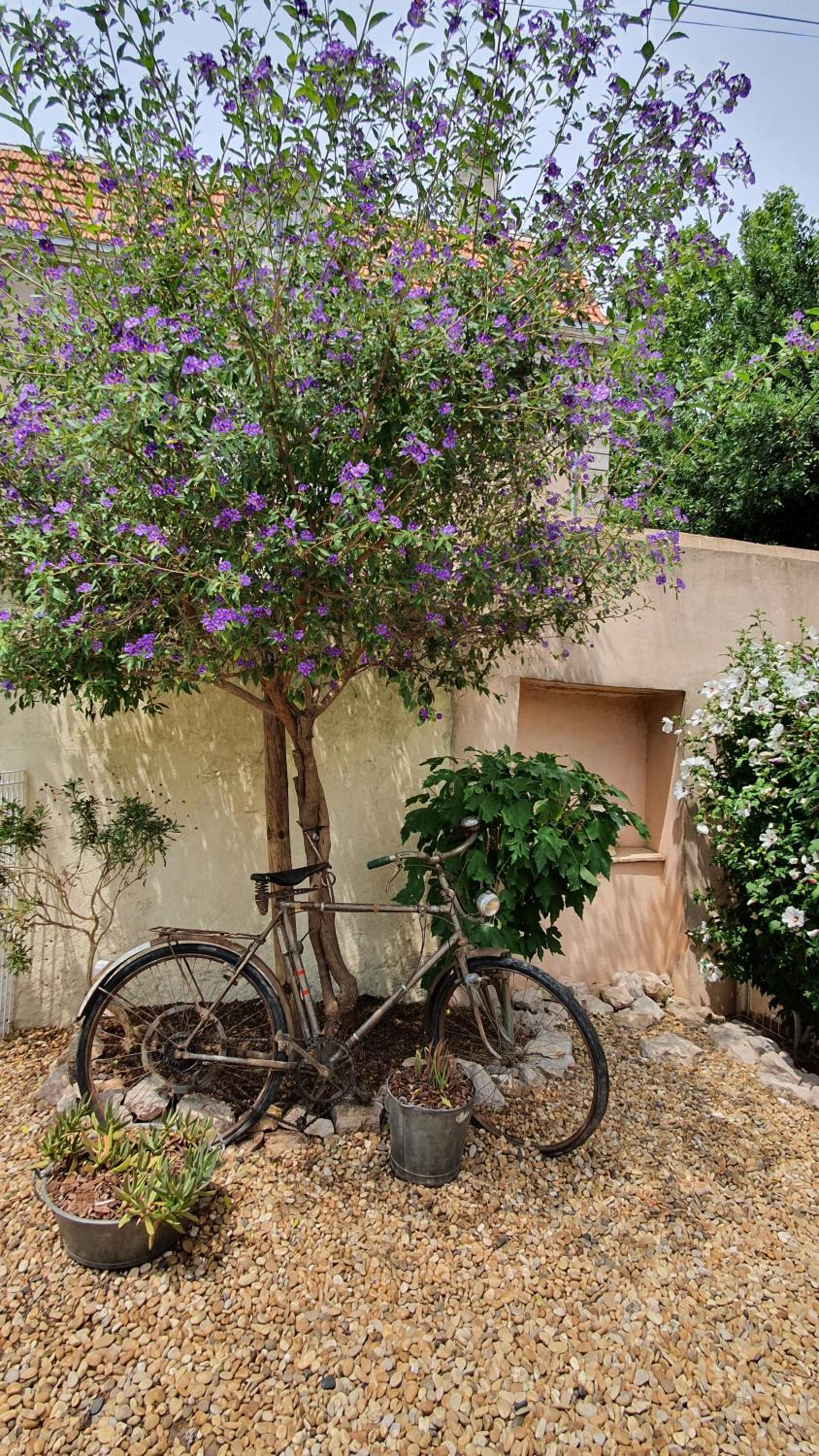 Gîtes "tout au sud de la France" view 3