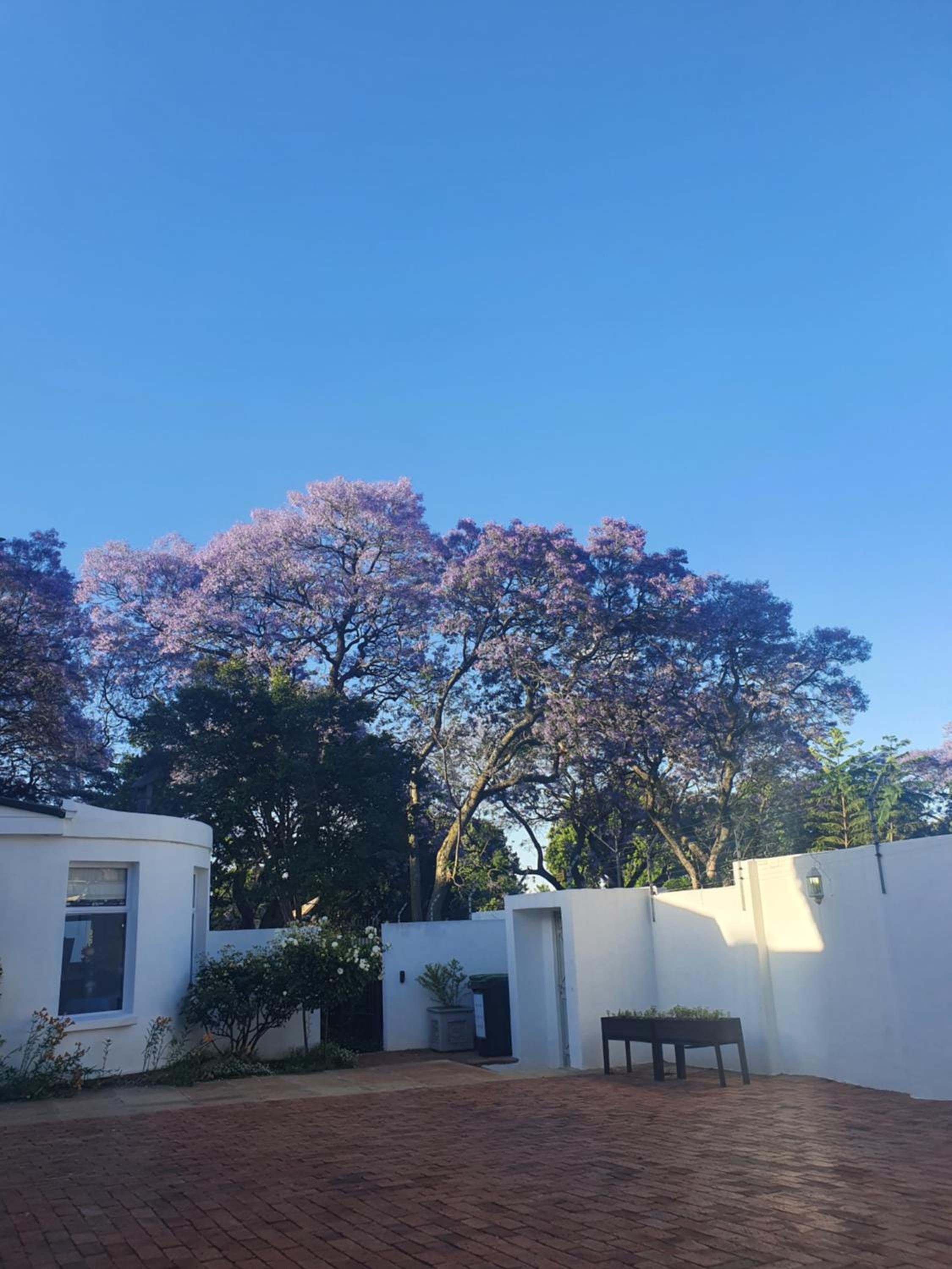 Maison Jacaranda