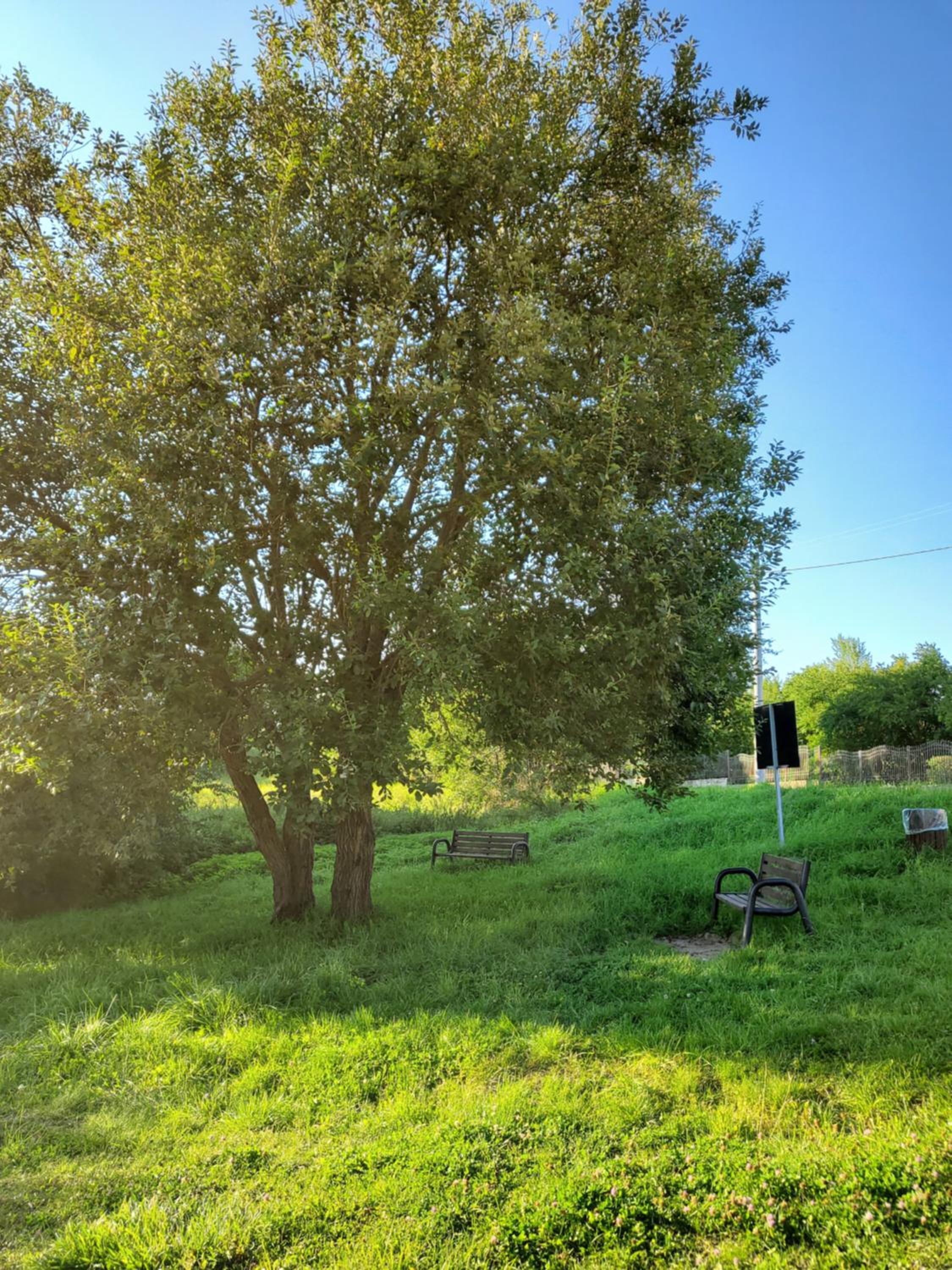 Photo 32