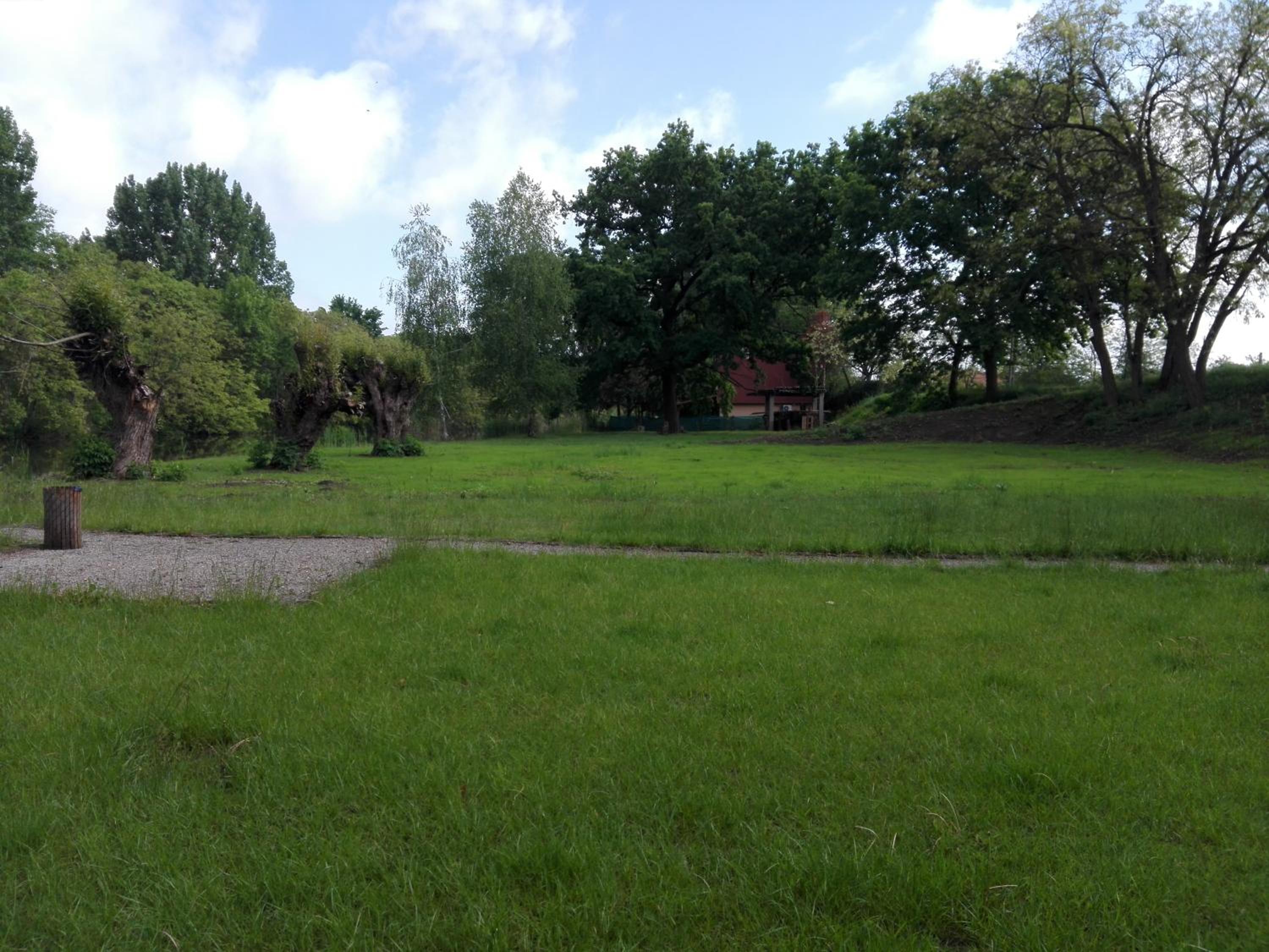 Photo 45