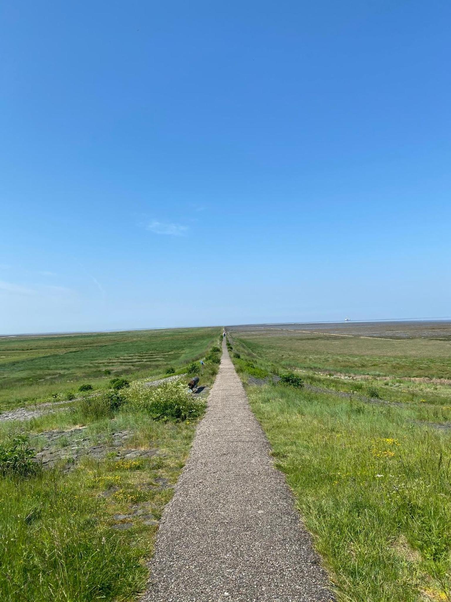 Heimathafen Friedrichskoog