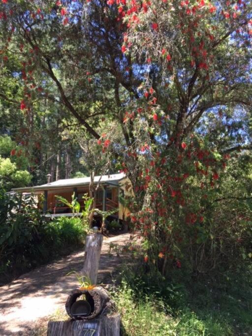 Sweetwater Cottage. A private mountain escape