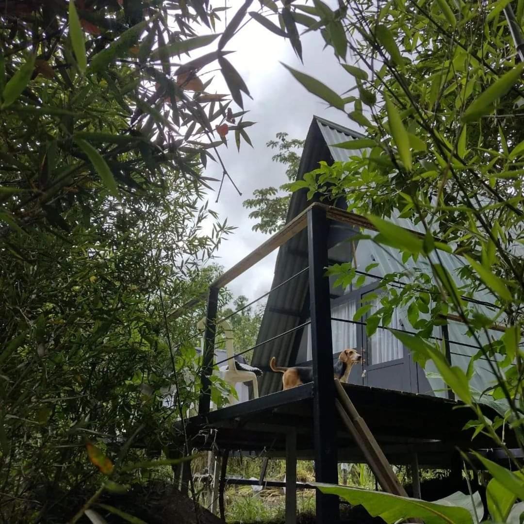 Finca VillaReposo Glamping Alcaravan