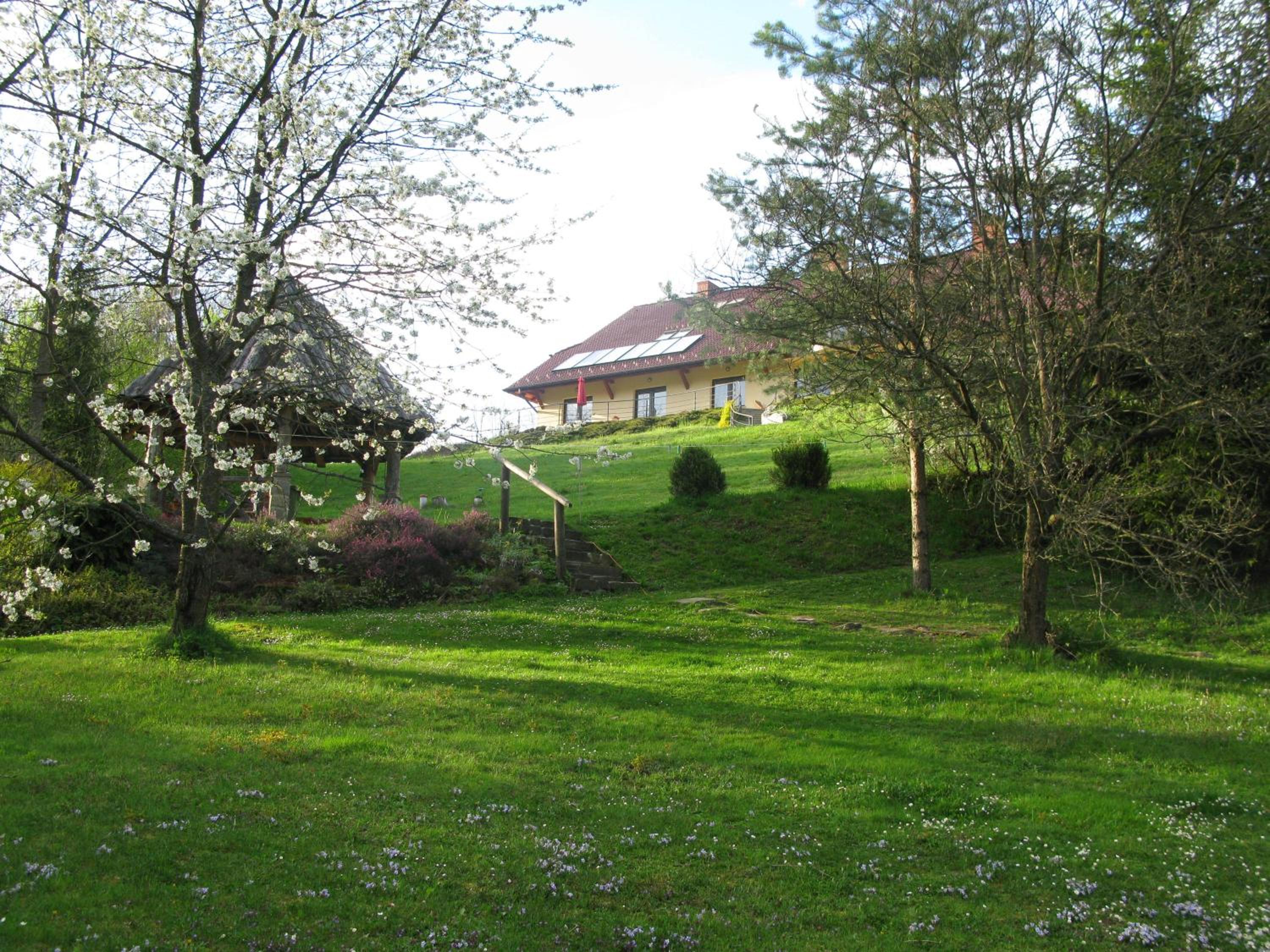 Photo 49