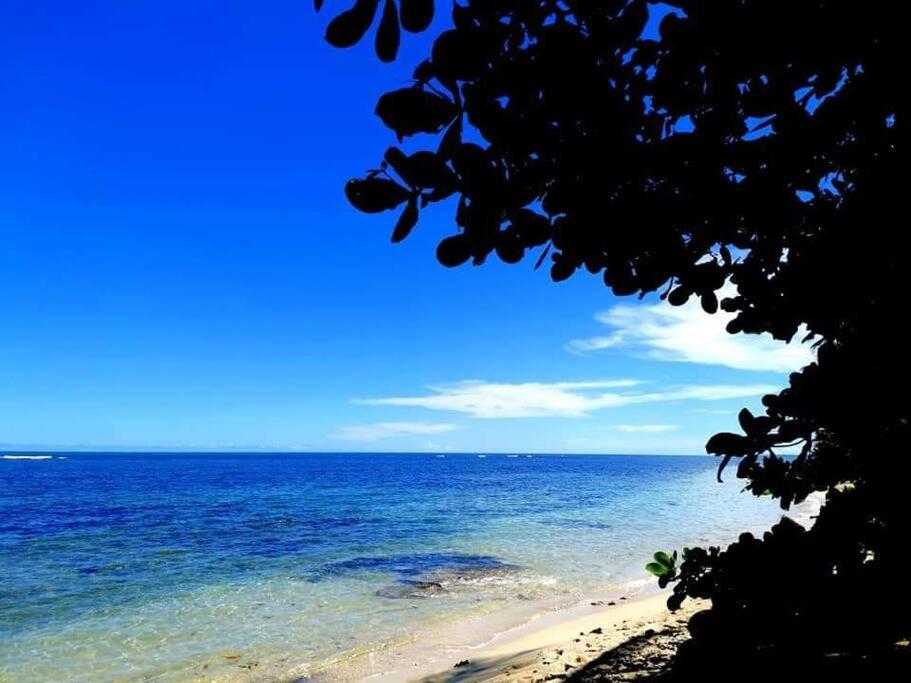 Starfish Cahuita's House - Casa Vacacional
