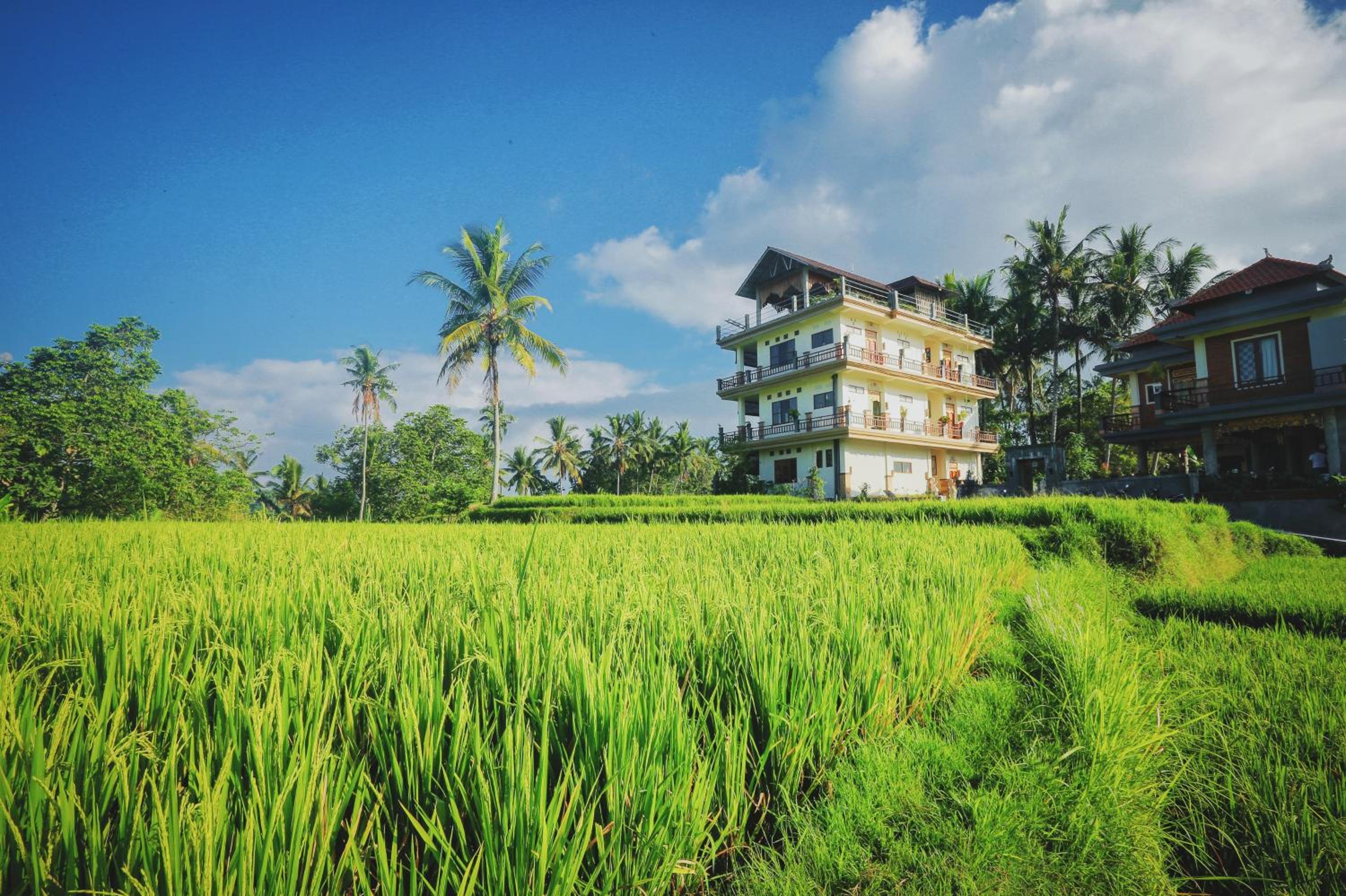 Nirwa Ubud Karma