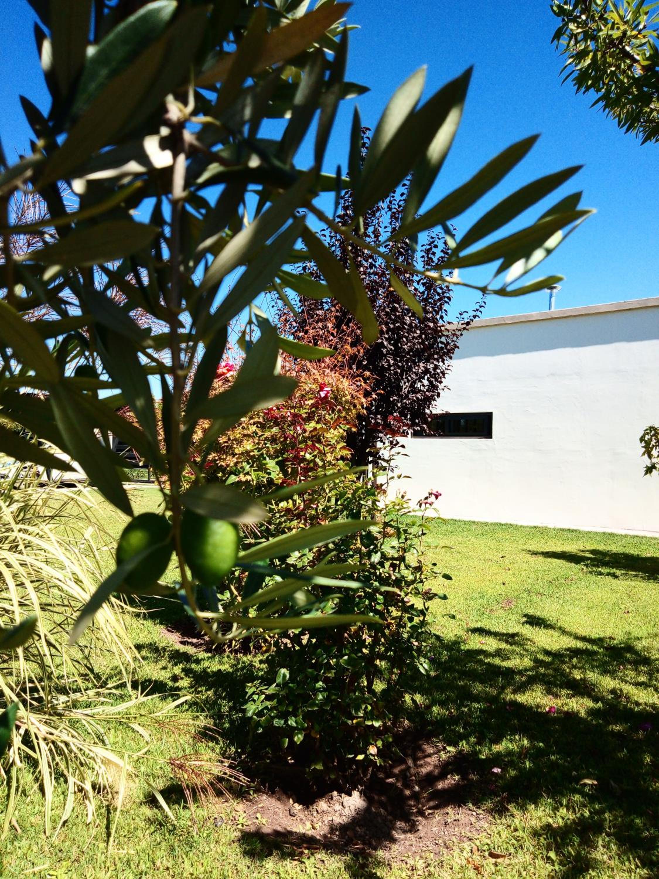 Loft Los Cerezos en VISTALBA, zona de viñedos y bodegas