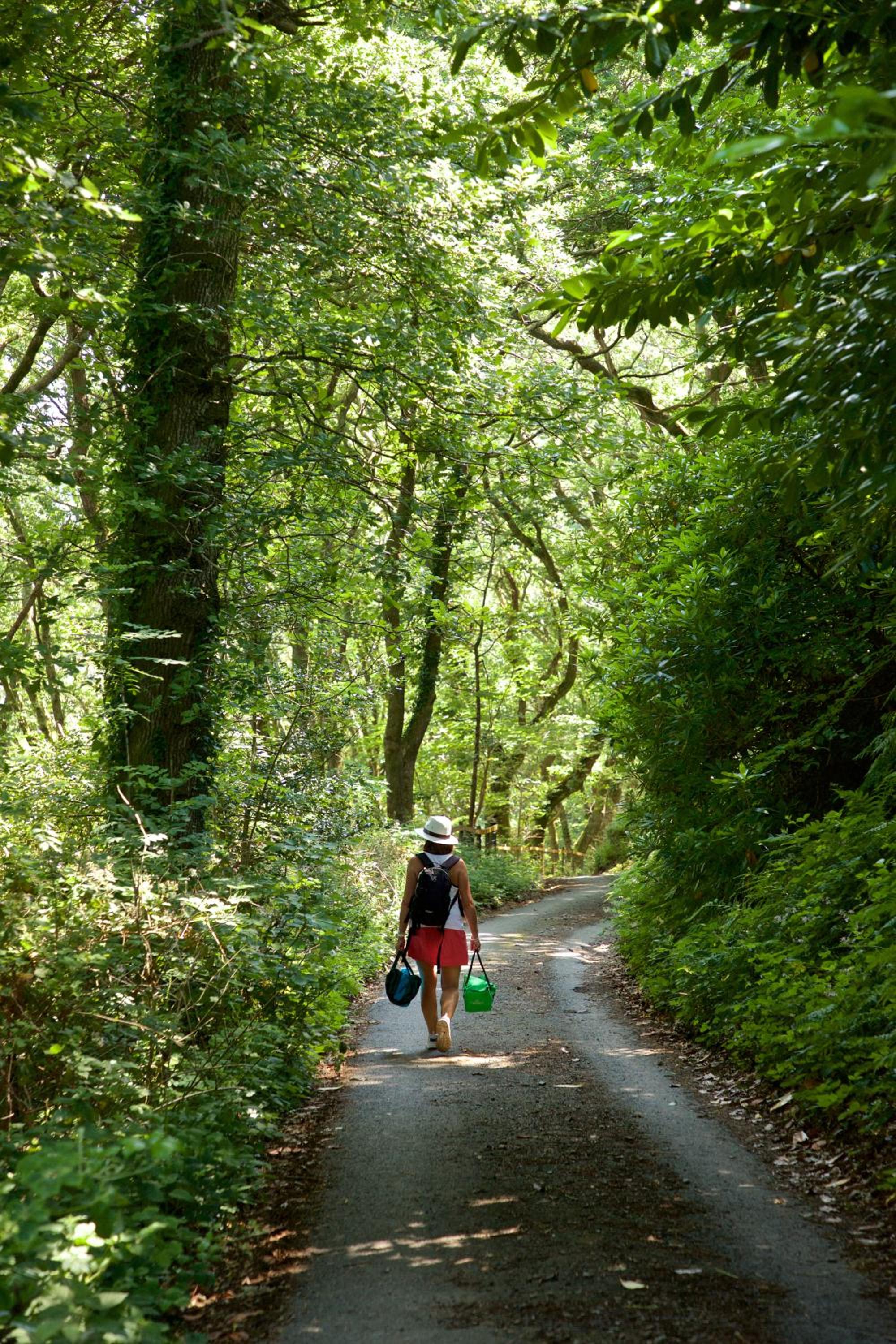Lynton Vacations - The Valley of Rocks Hotel - Property Image 9