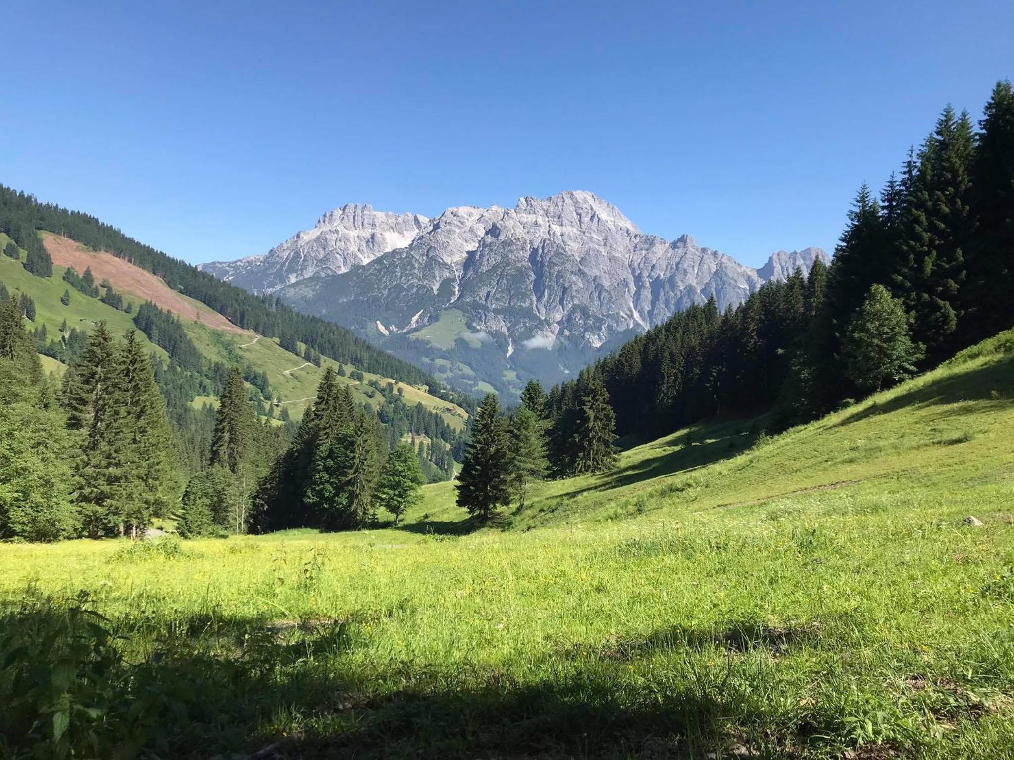 Untergrundgut