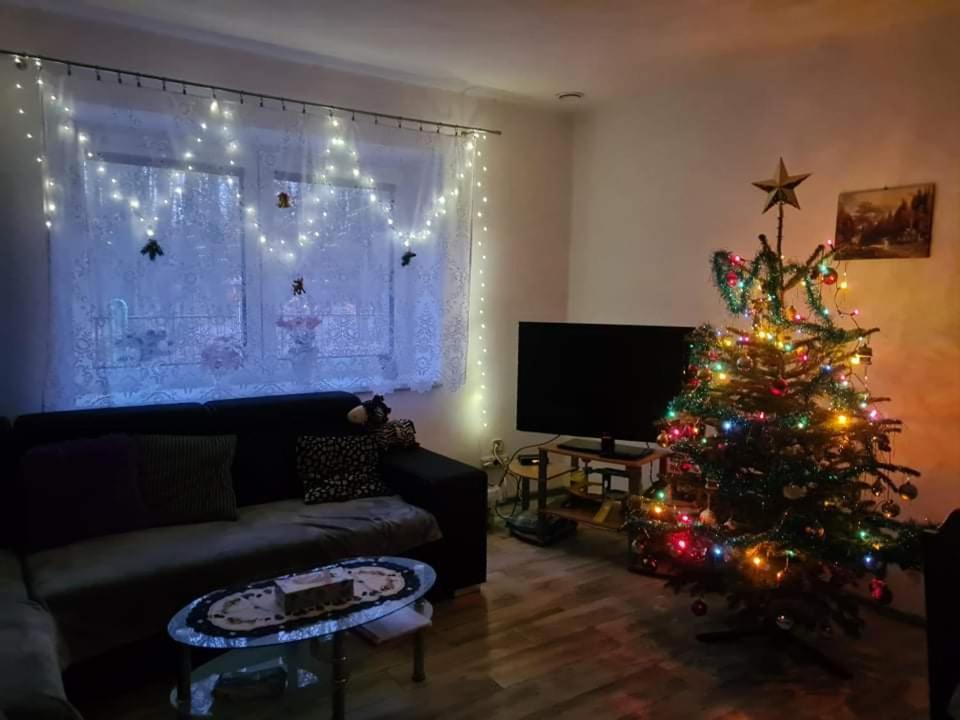 Photo 46