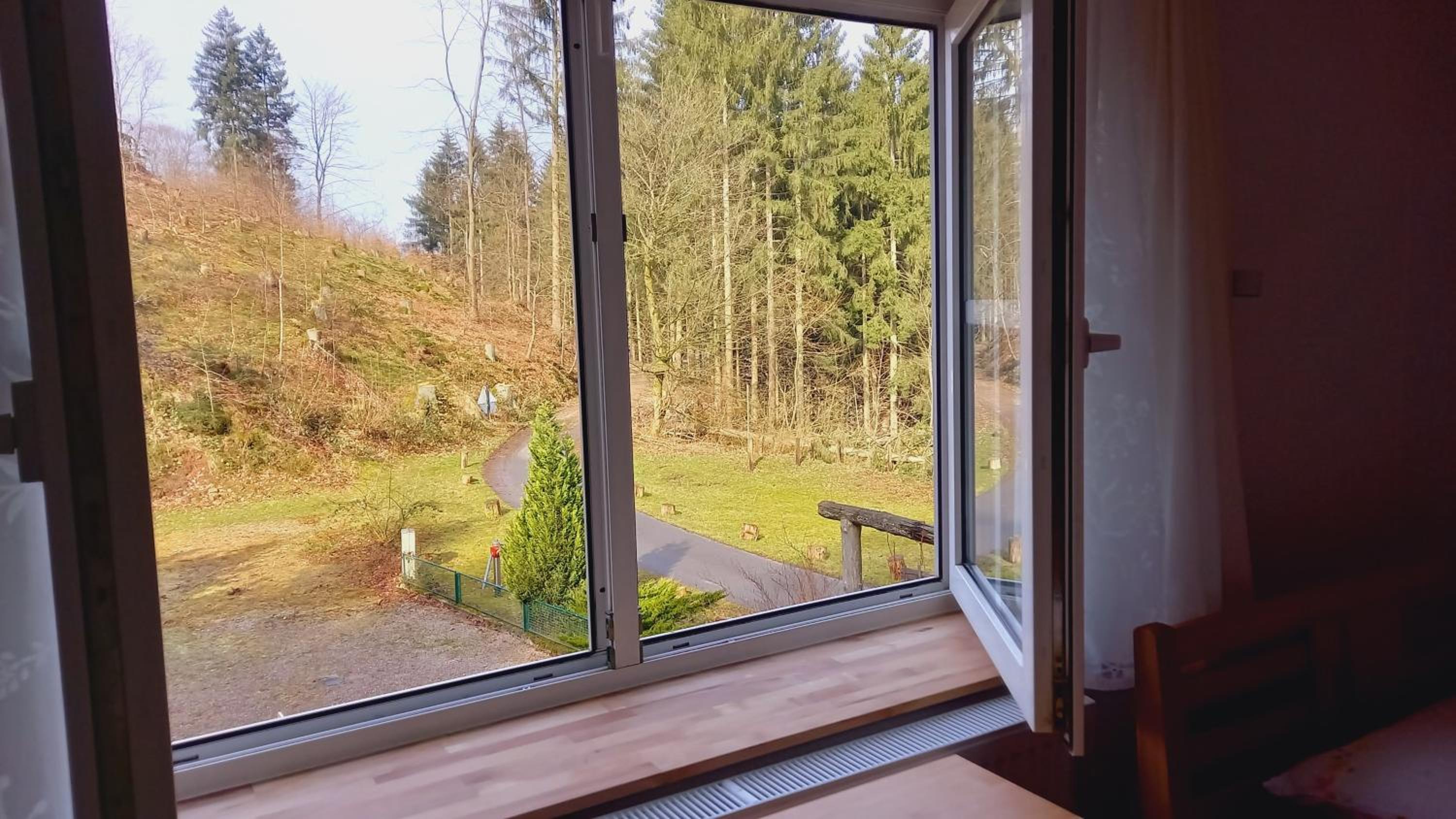 Waldpension Harzer Waldwinkel