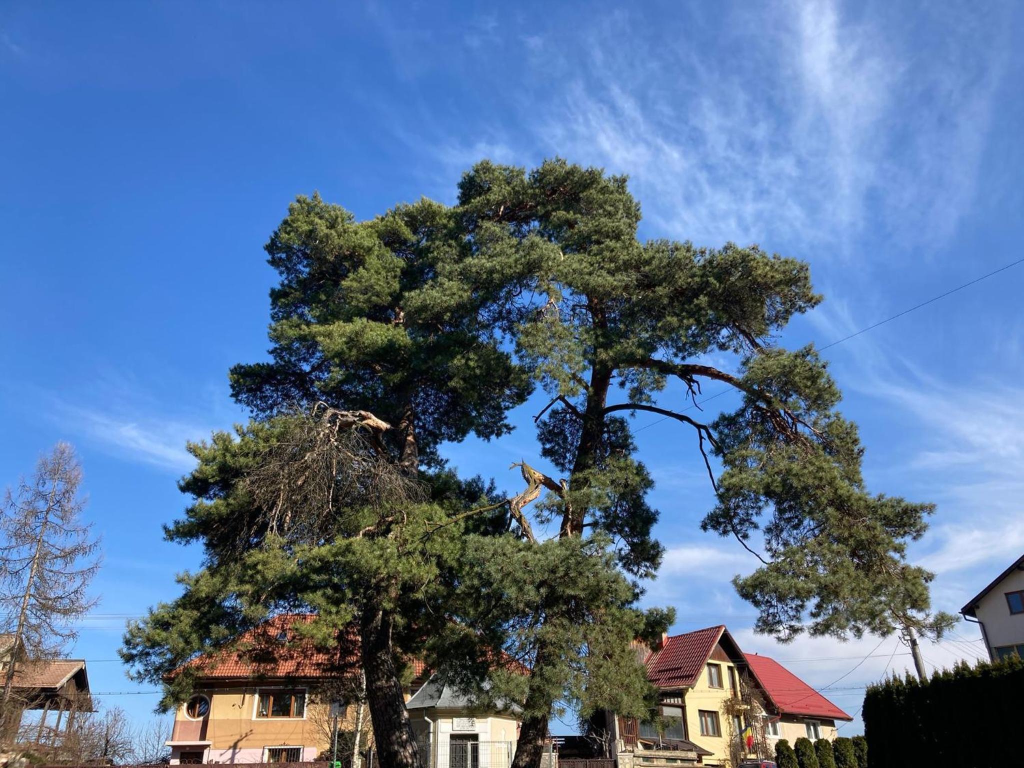 other