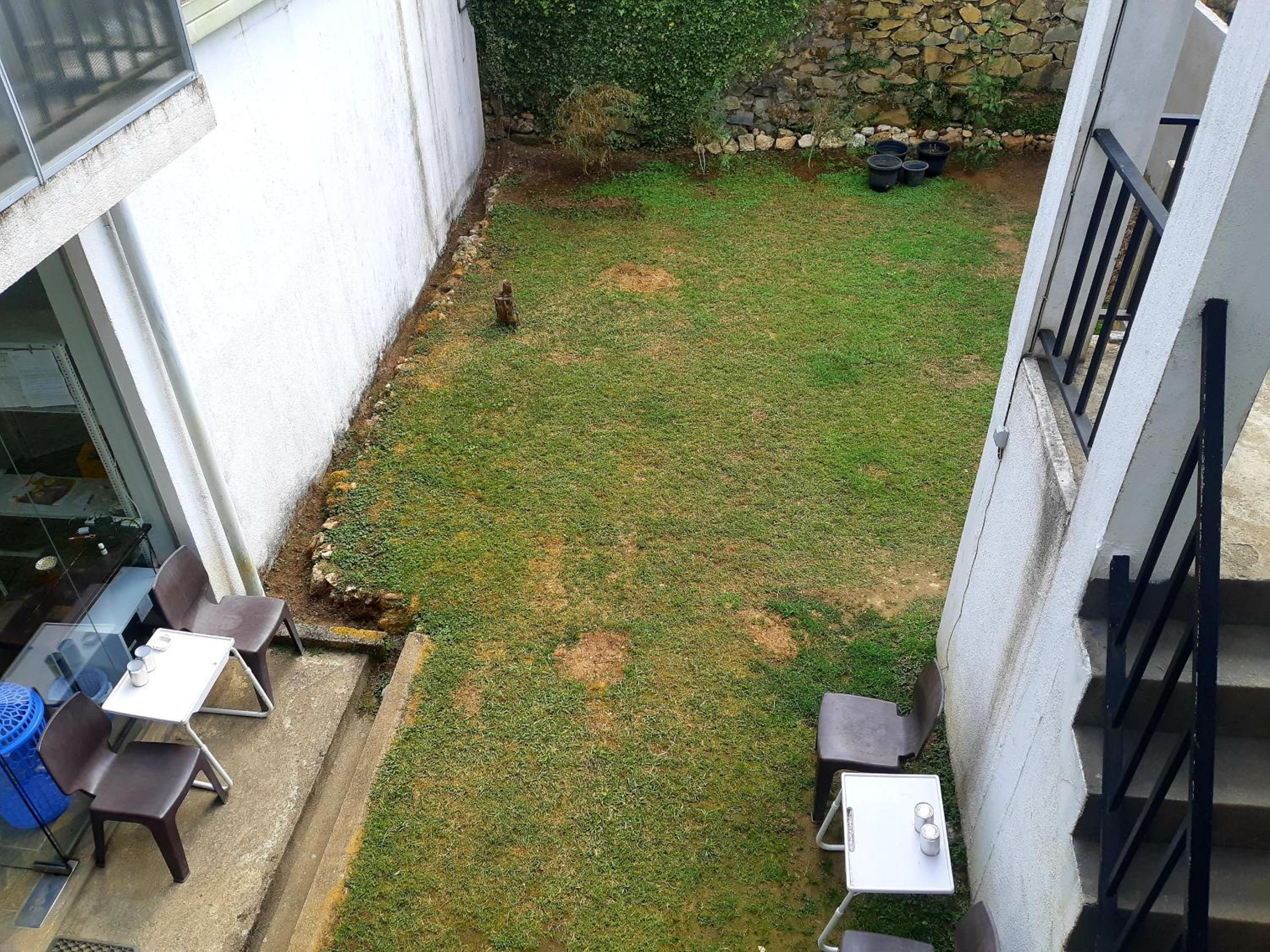Photo 45