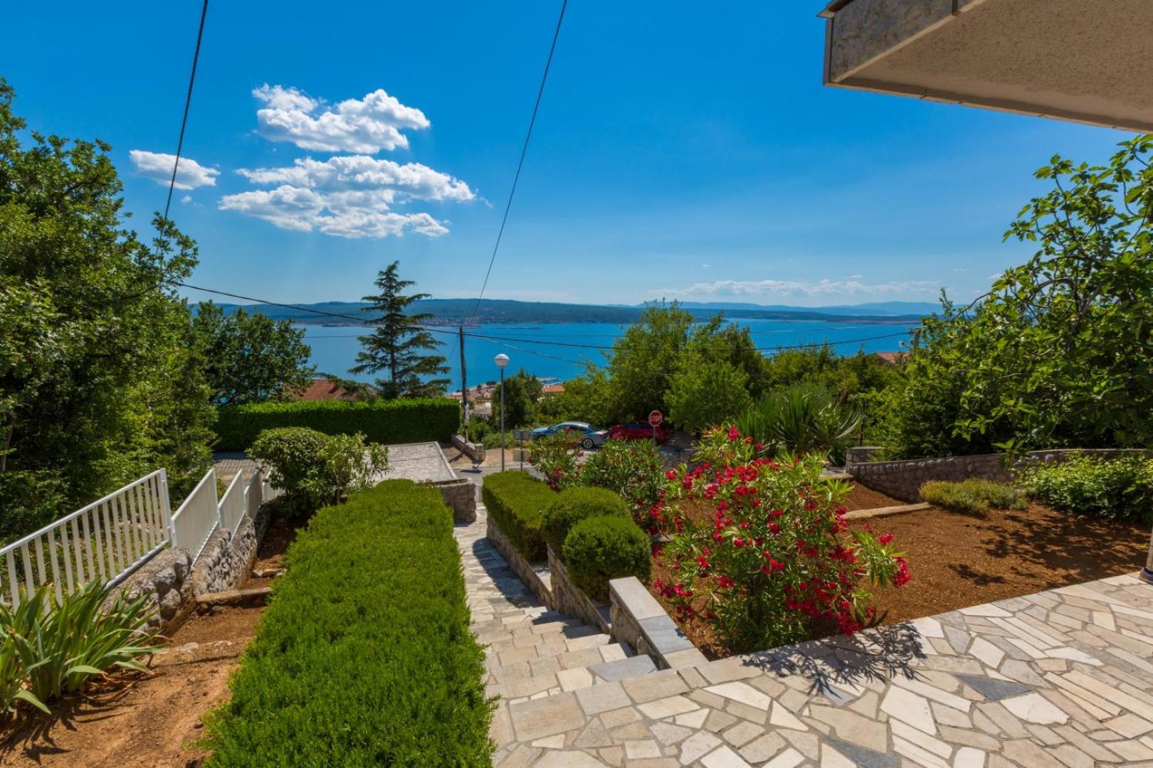 PAVLAK view 4