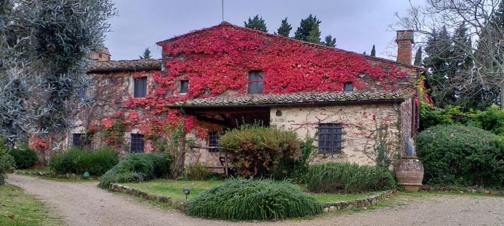 Fattoria Casa Sola