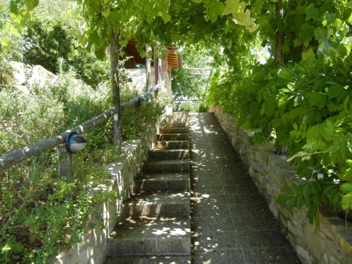 Fattoria Casa Sola