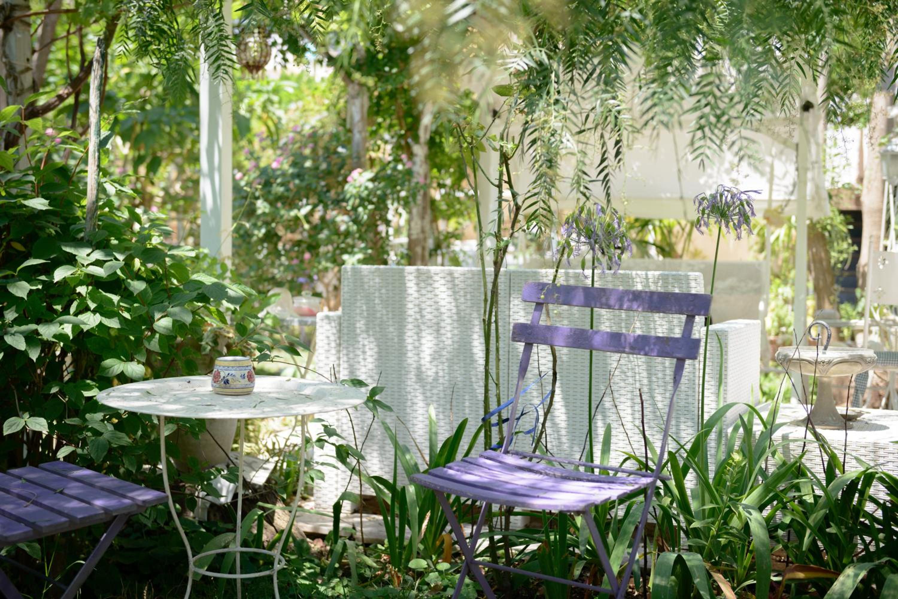 Giardino Segreto - Via Foria 216 Ammezzato