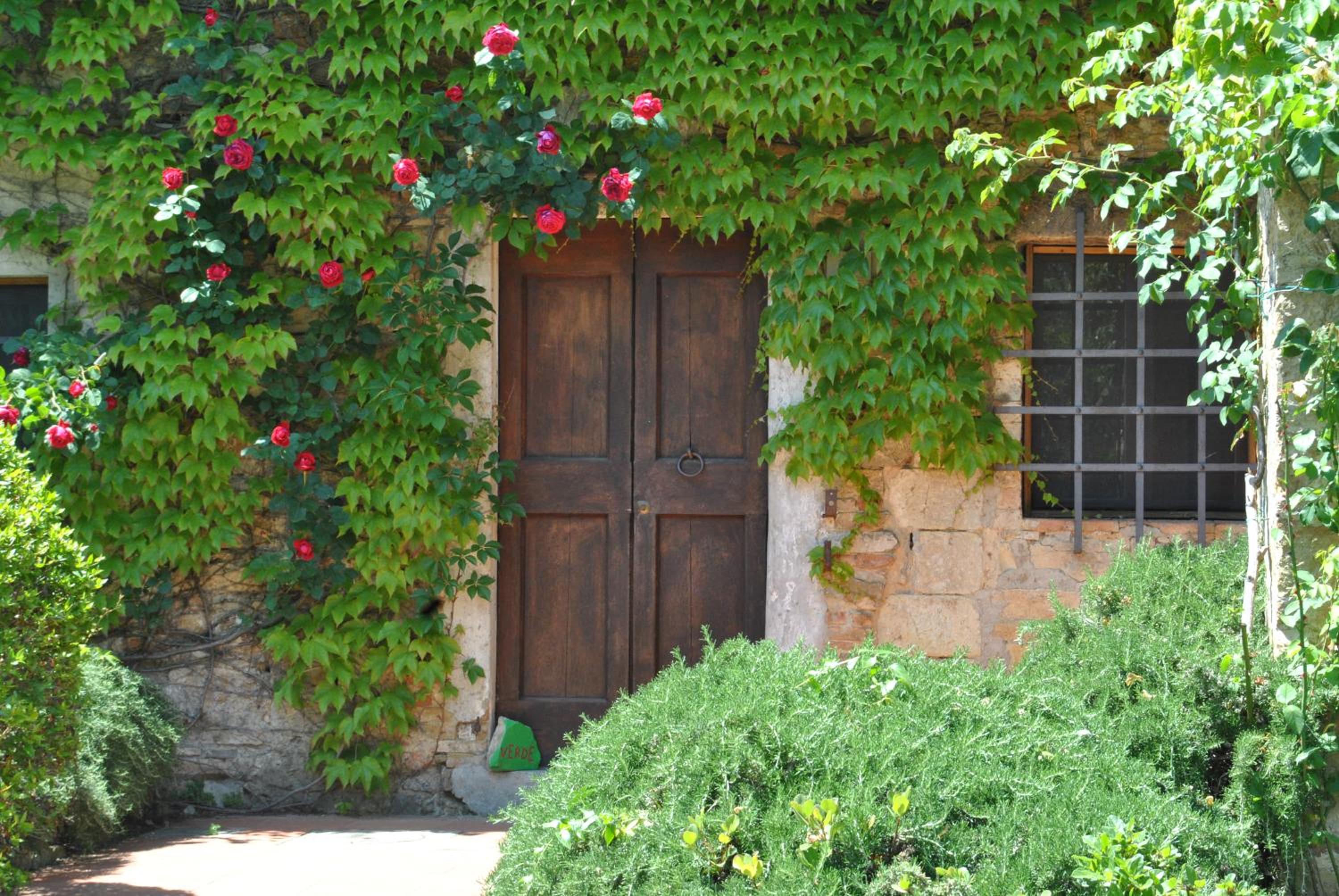 Fattoria Casa Sola