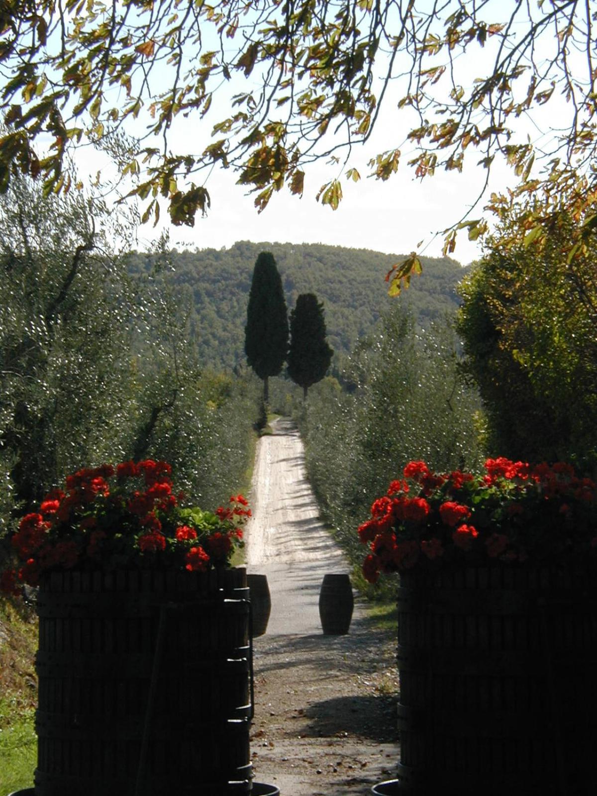 Fattoria Casa Sola