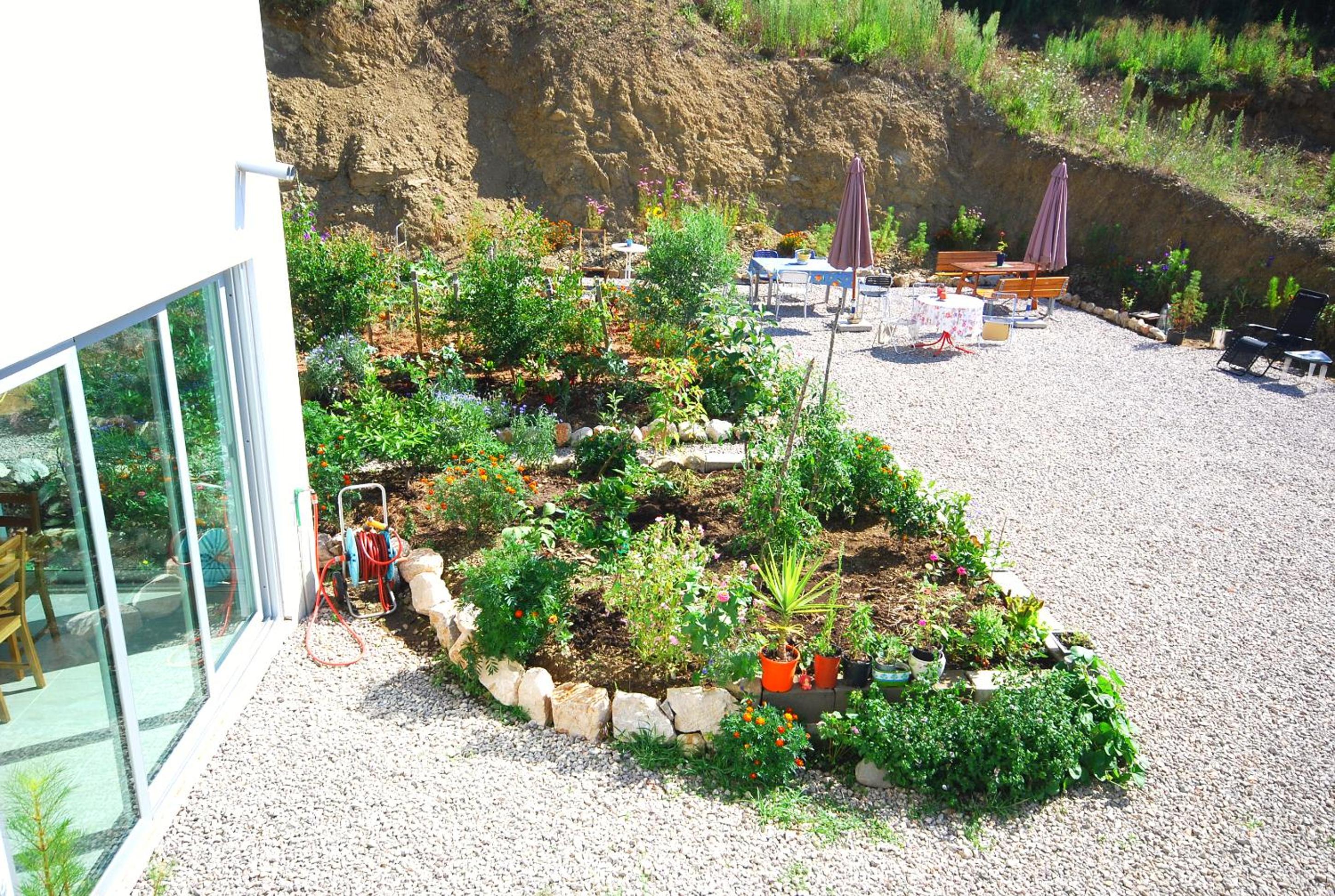 Photo 6