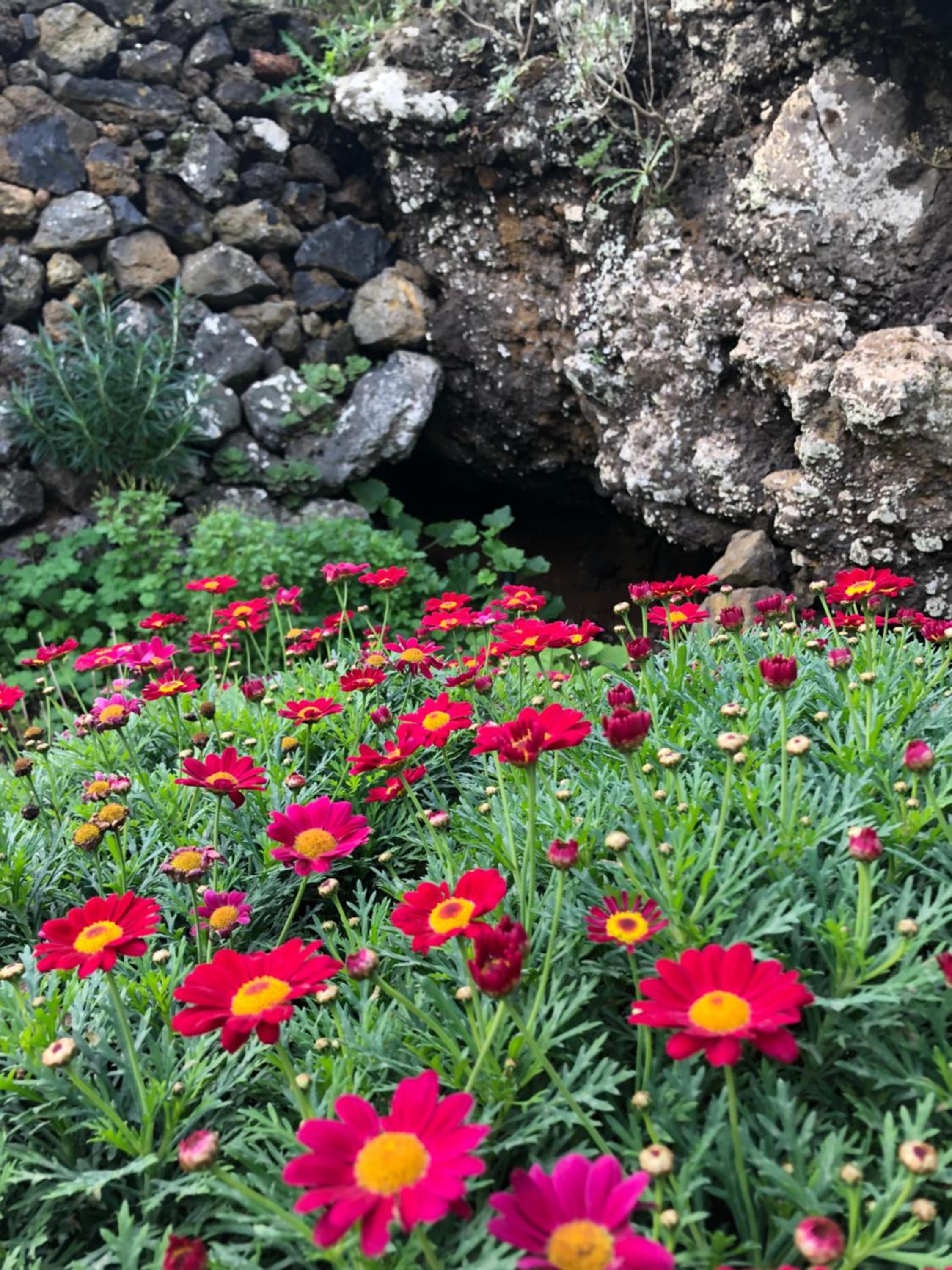 Casas Del Monte II view 4