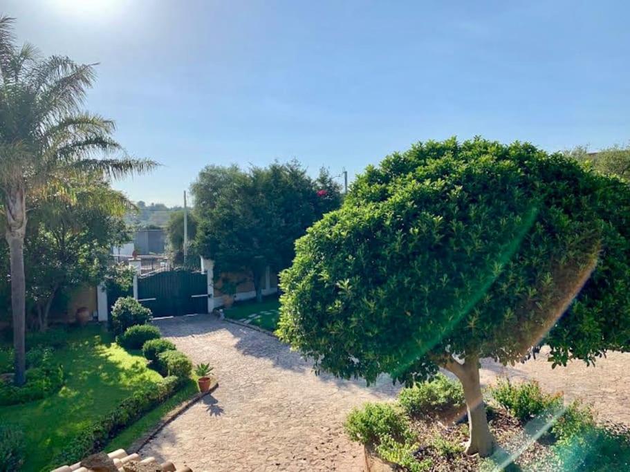 Casa Magnolia view 5