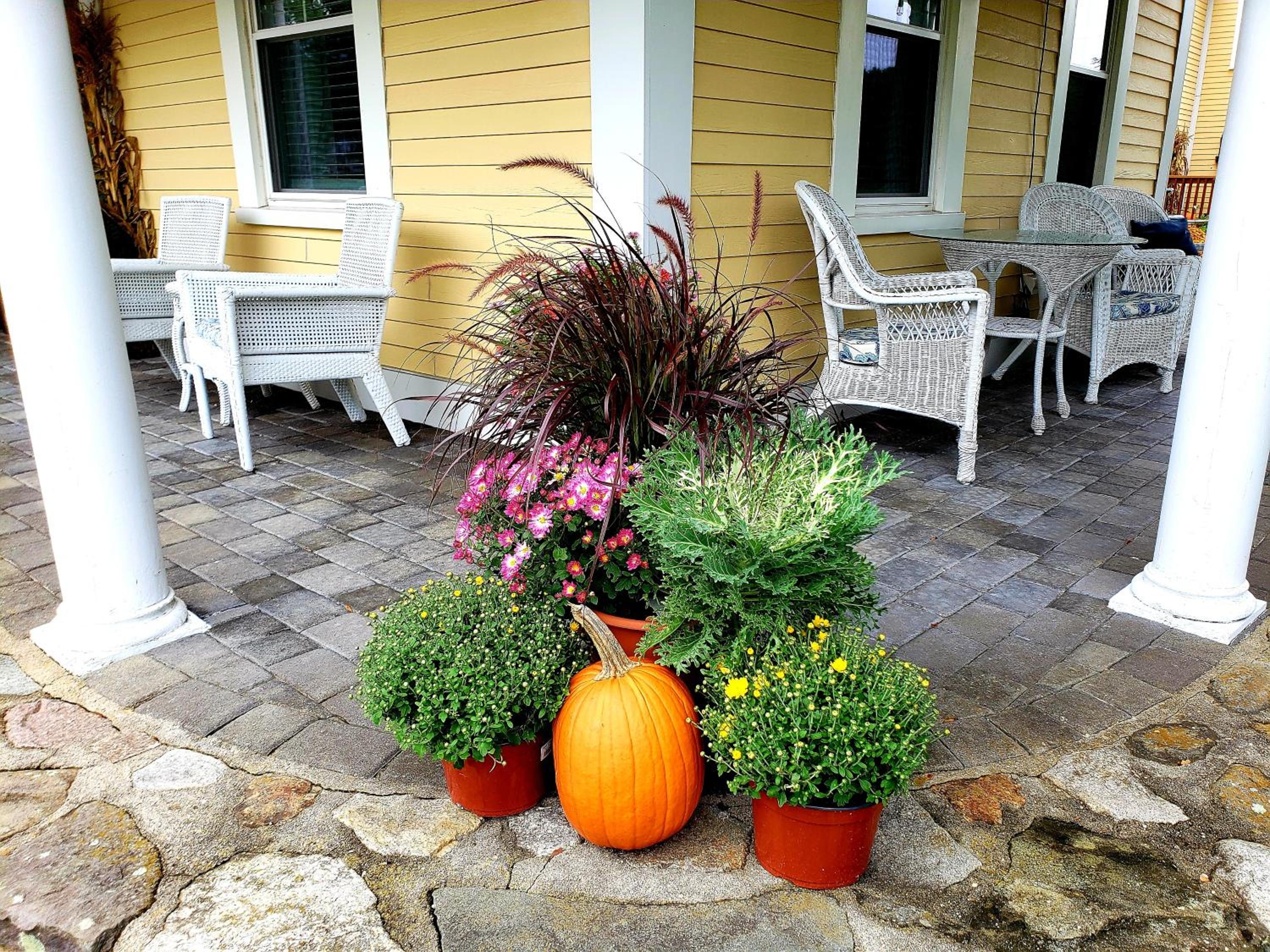 Elmere House Bed & Breakfast