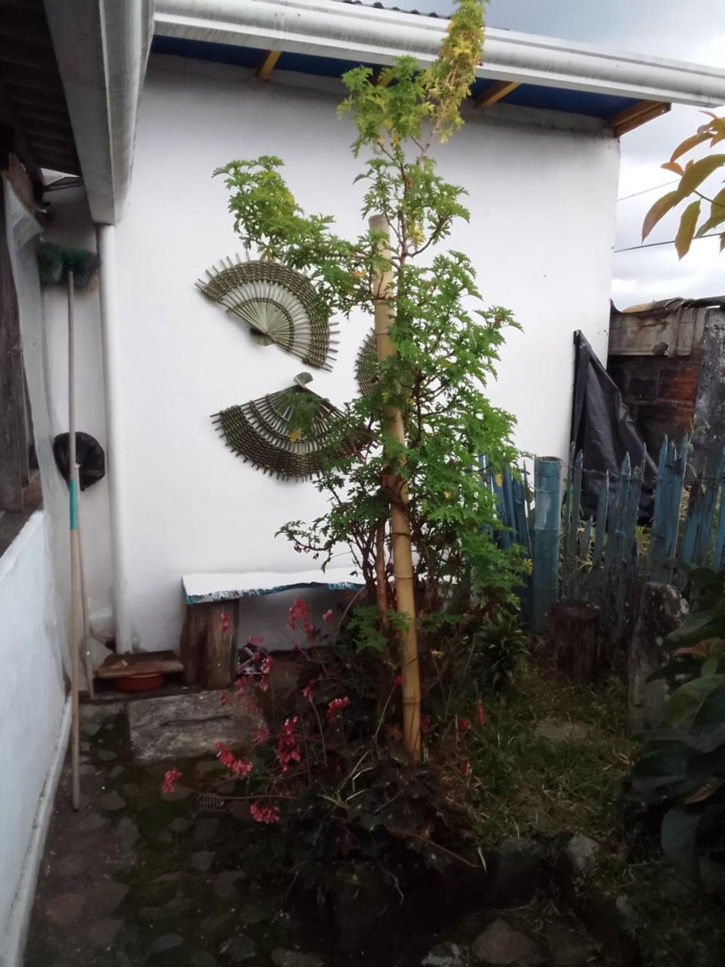 Hostal Familiar Jerico