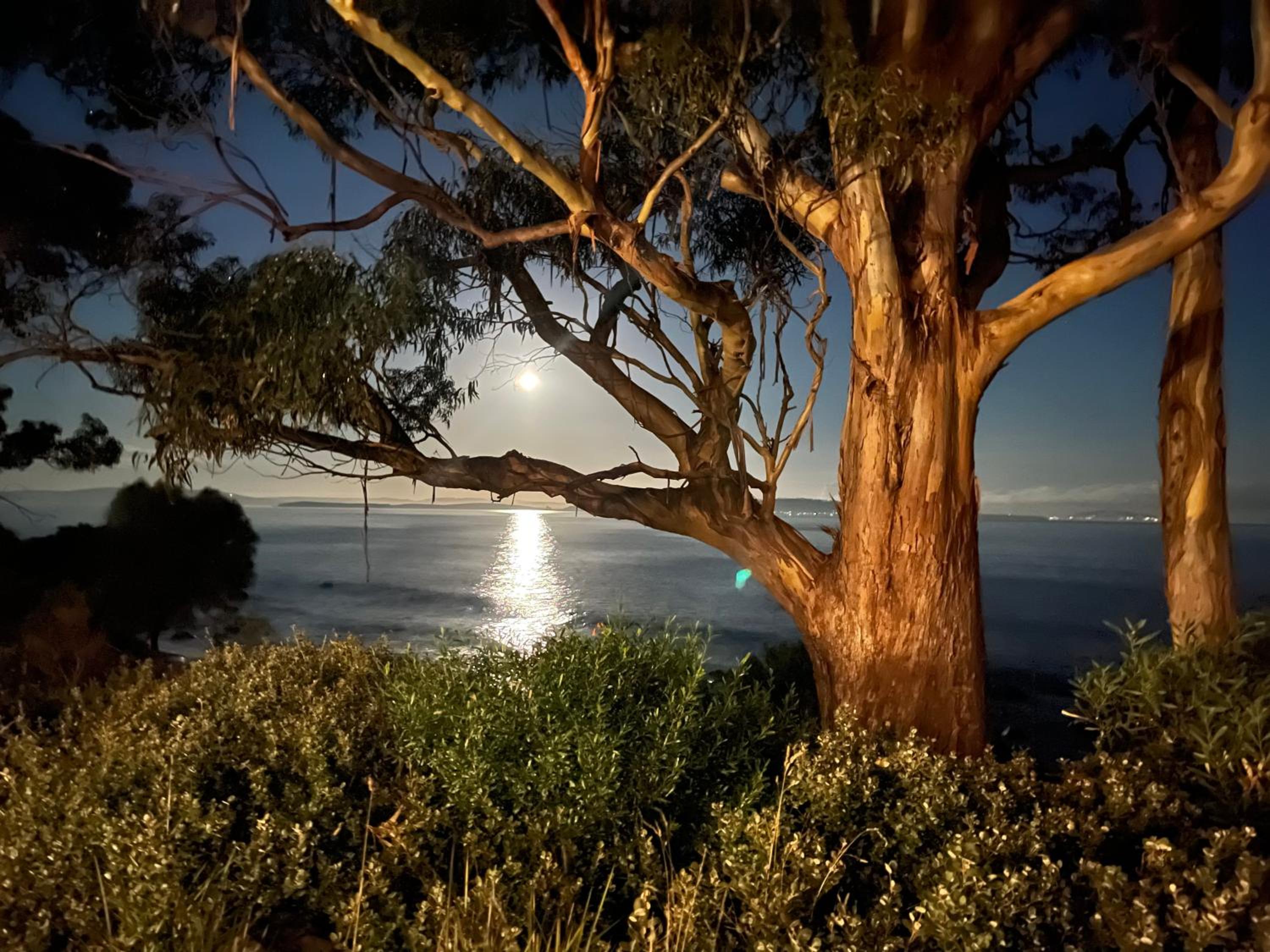 Beachside Taroona with Spa view 3
