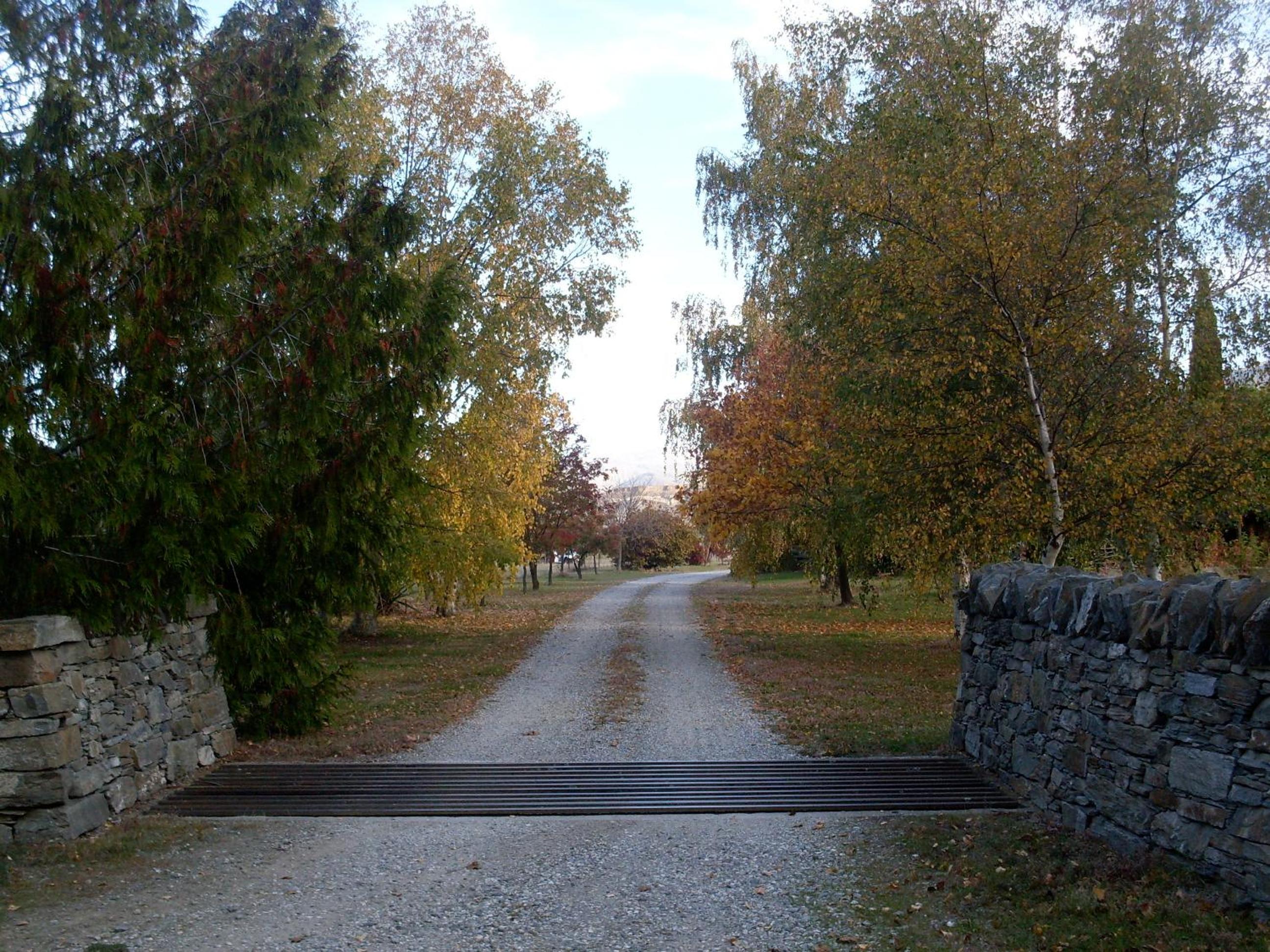 Photo 16