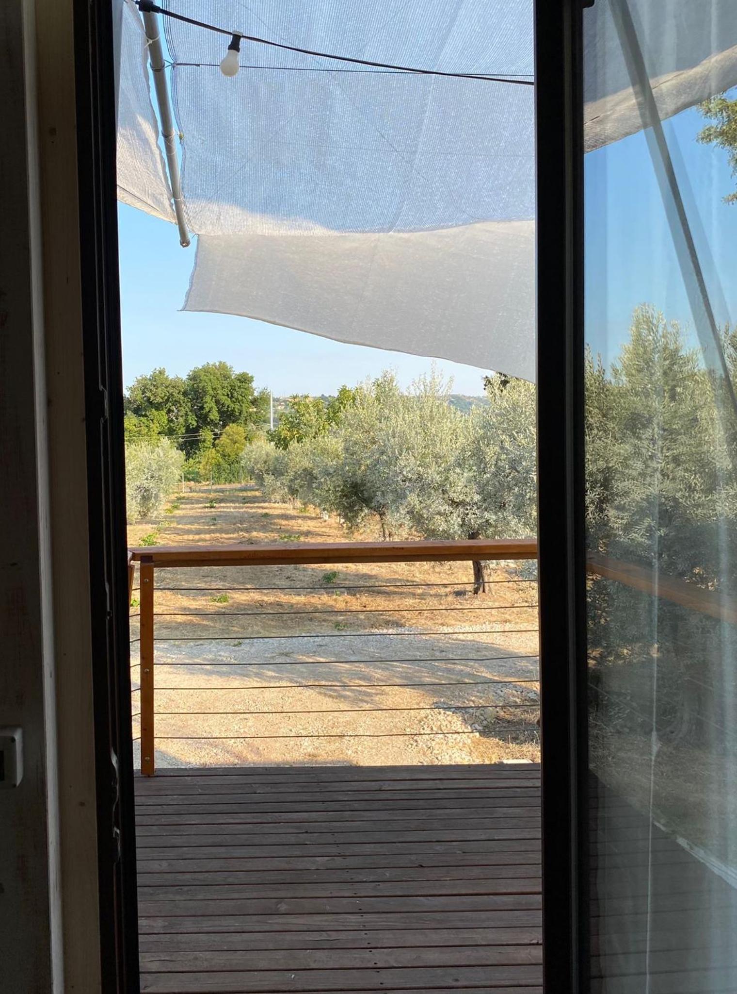 La Casa tra gli Ulivi - Cottage in legno view 2