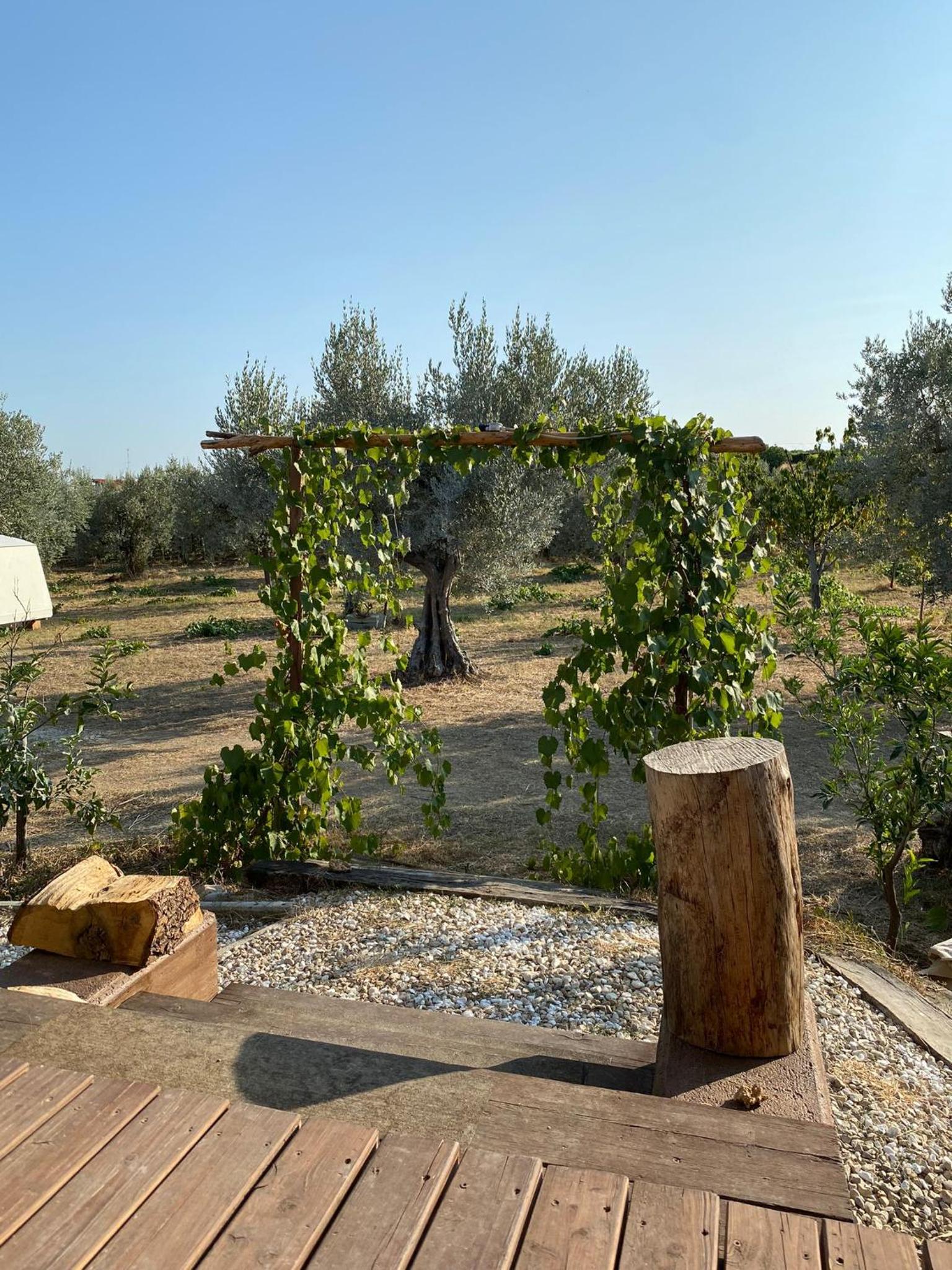 La Casa tra gli Ulivi - Cottage in legno view 3