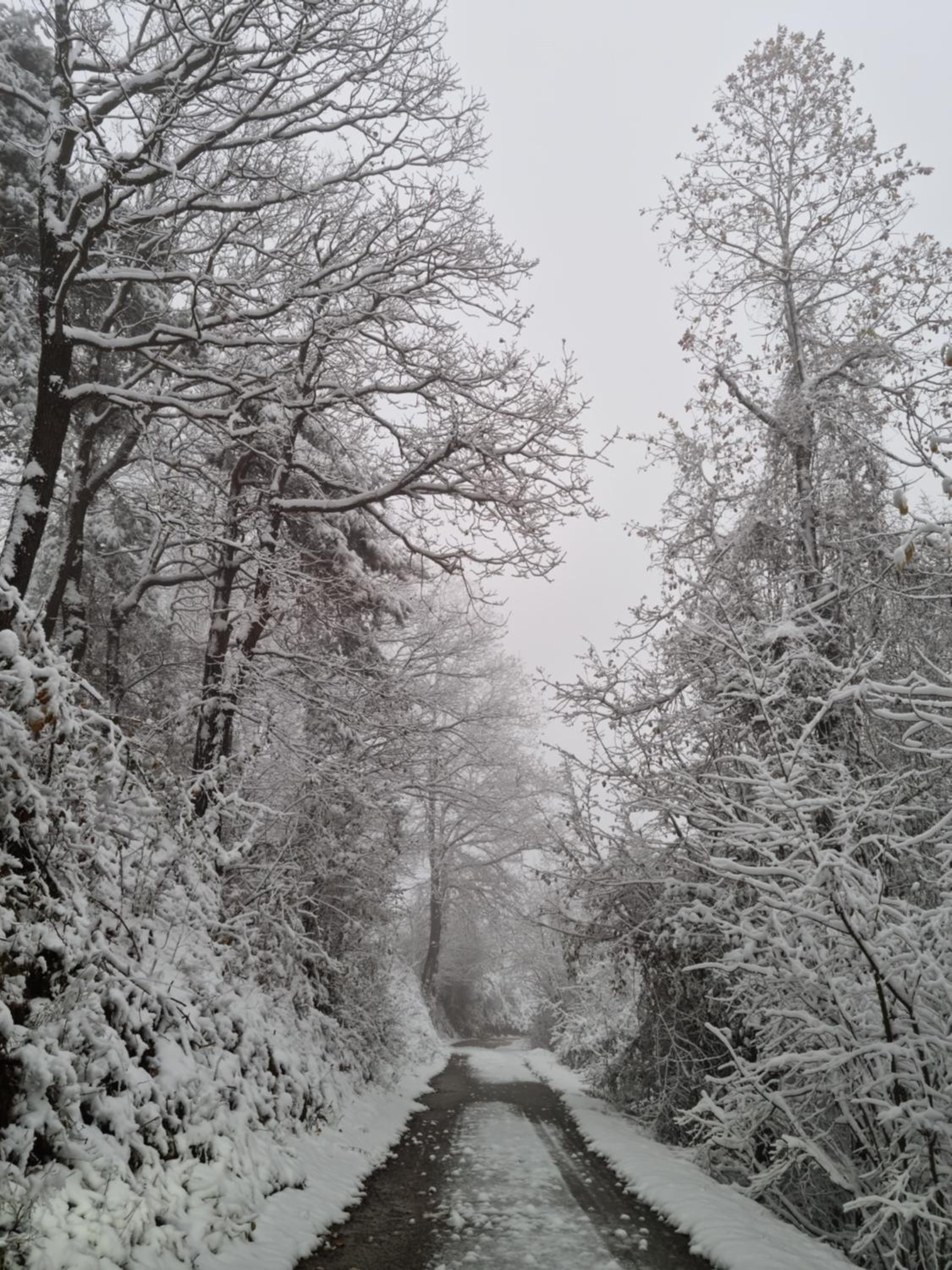 LANGHE PARADISOT