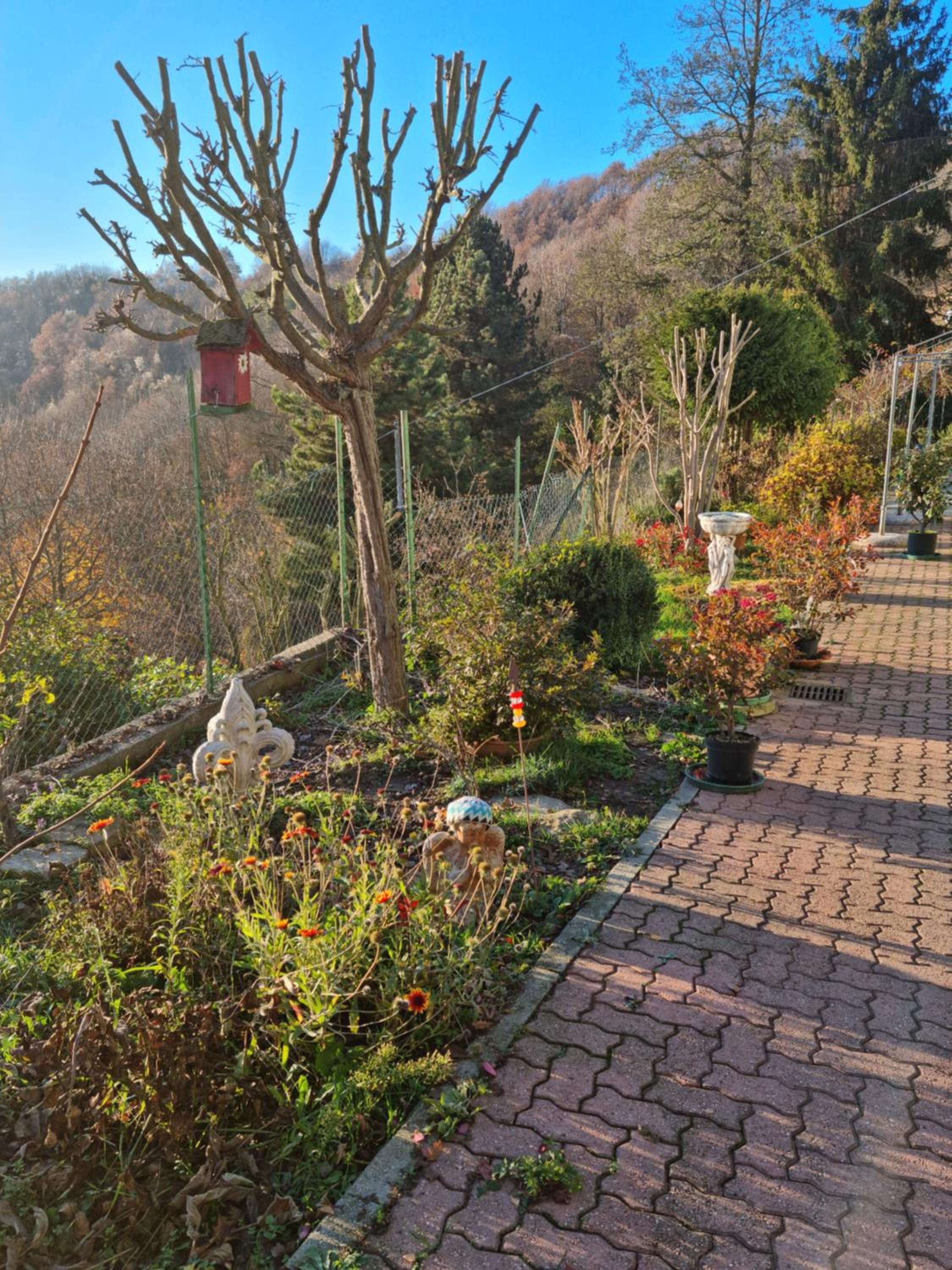 LANGHE PARADISOT
