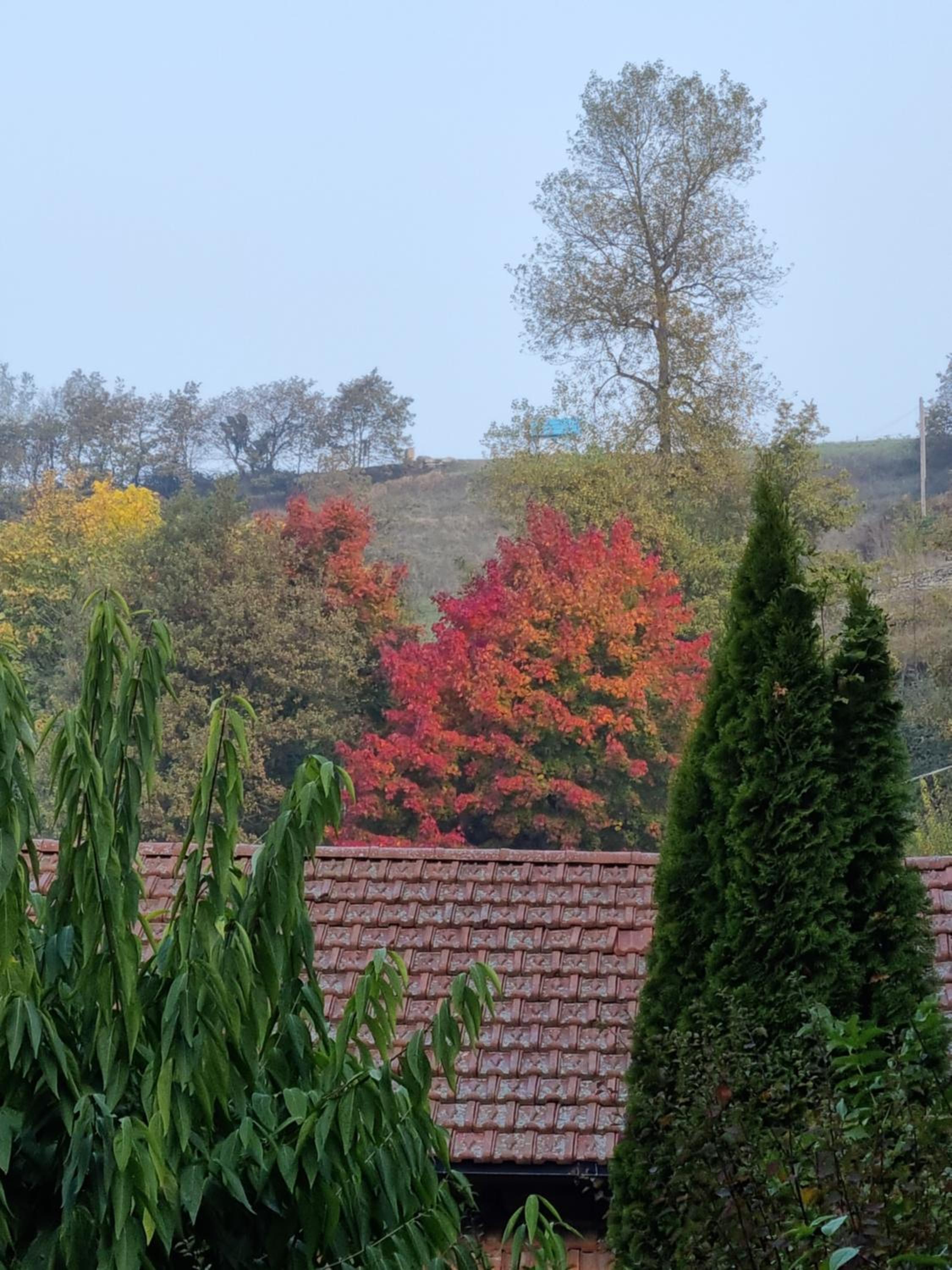 LANGHE PARADISOT