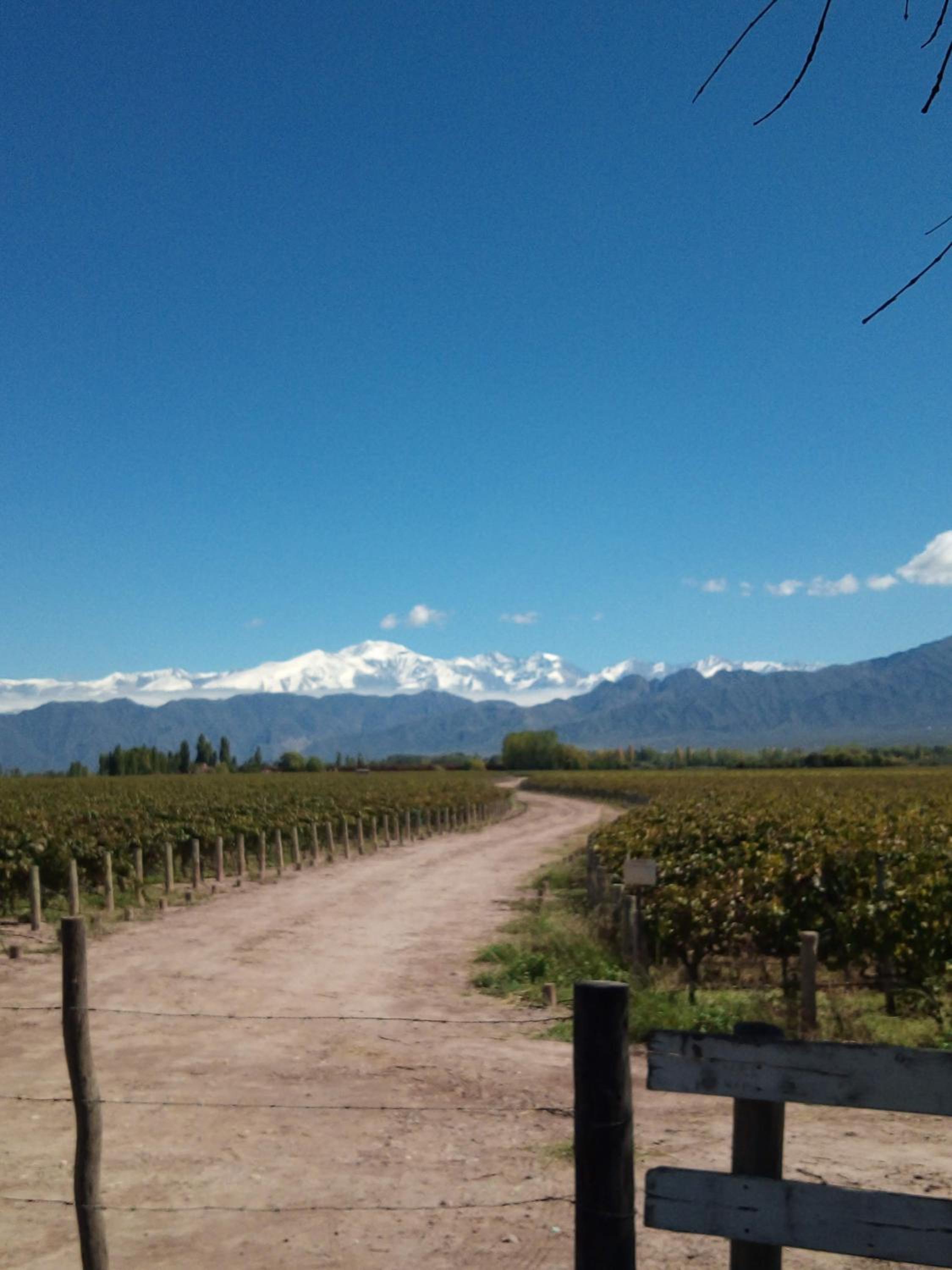 Loft Los Cerezos en VISTALBA, zona de viñedos y bodegas