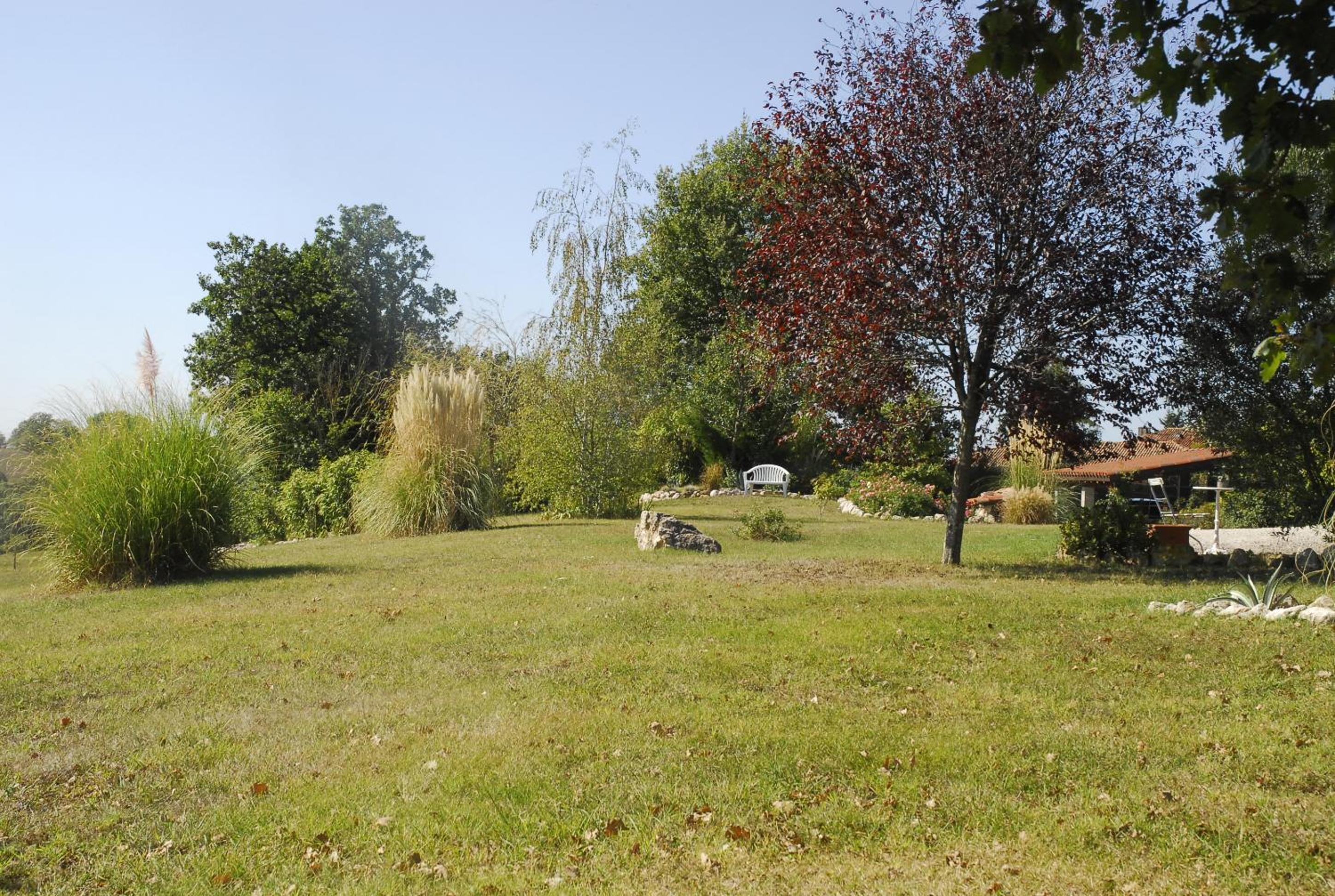 Photo 24