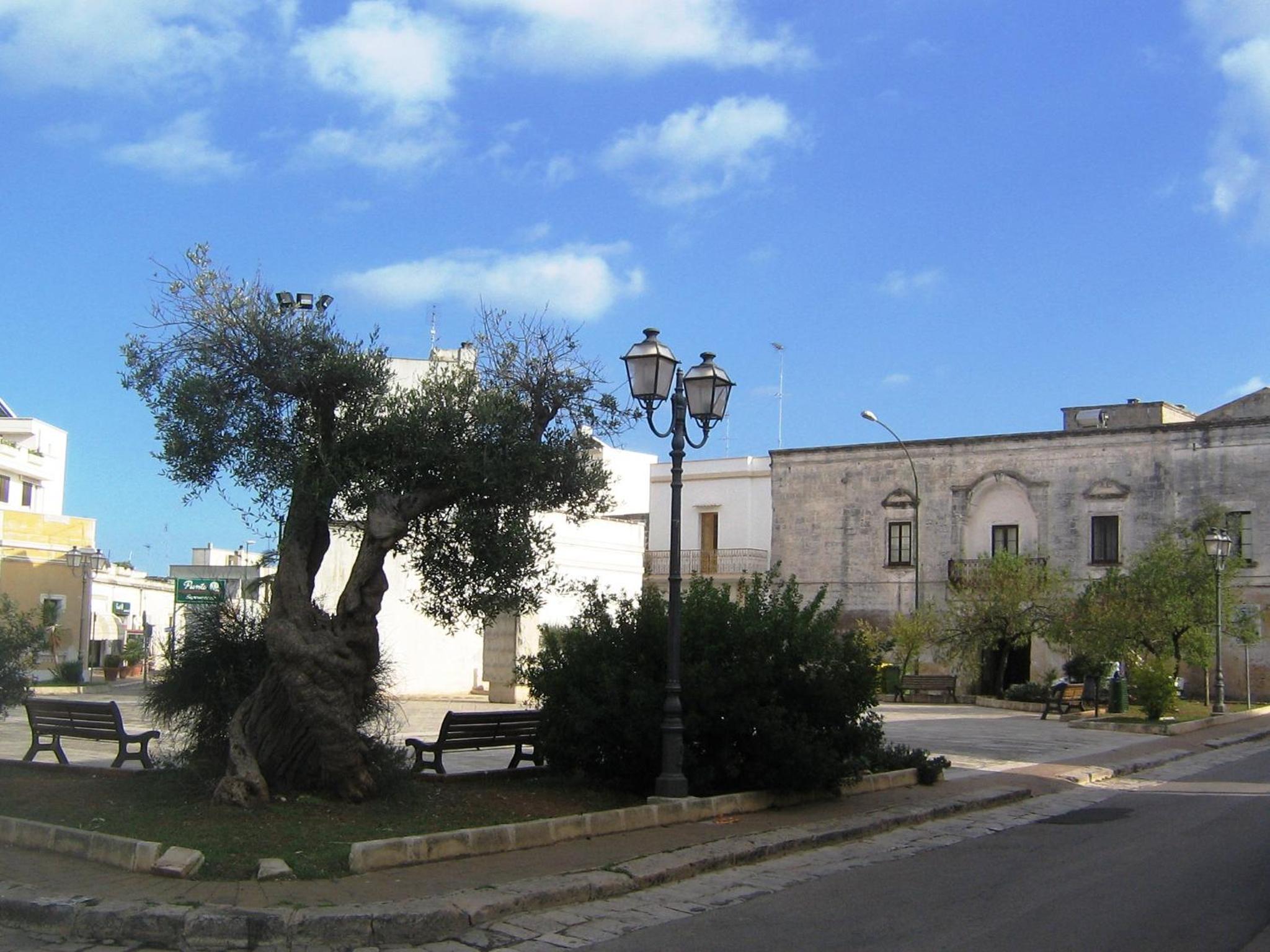 Photo 10