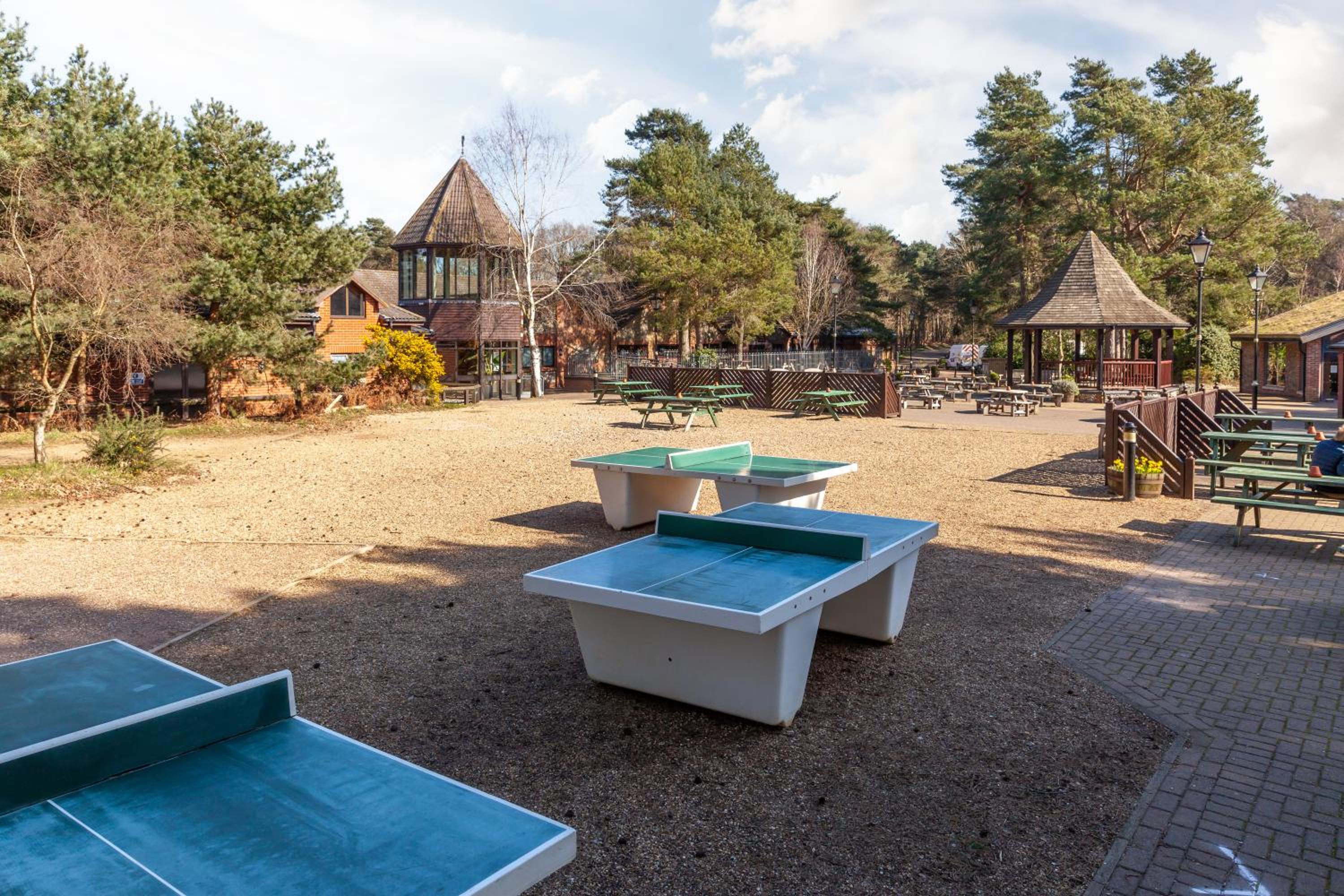 activities & amenities