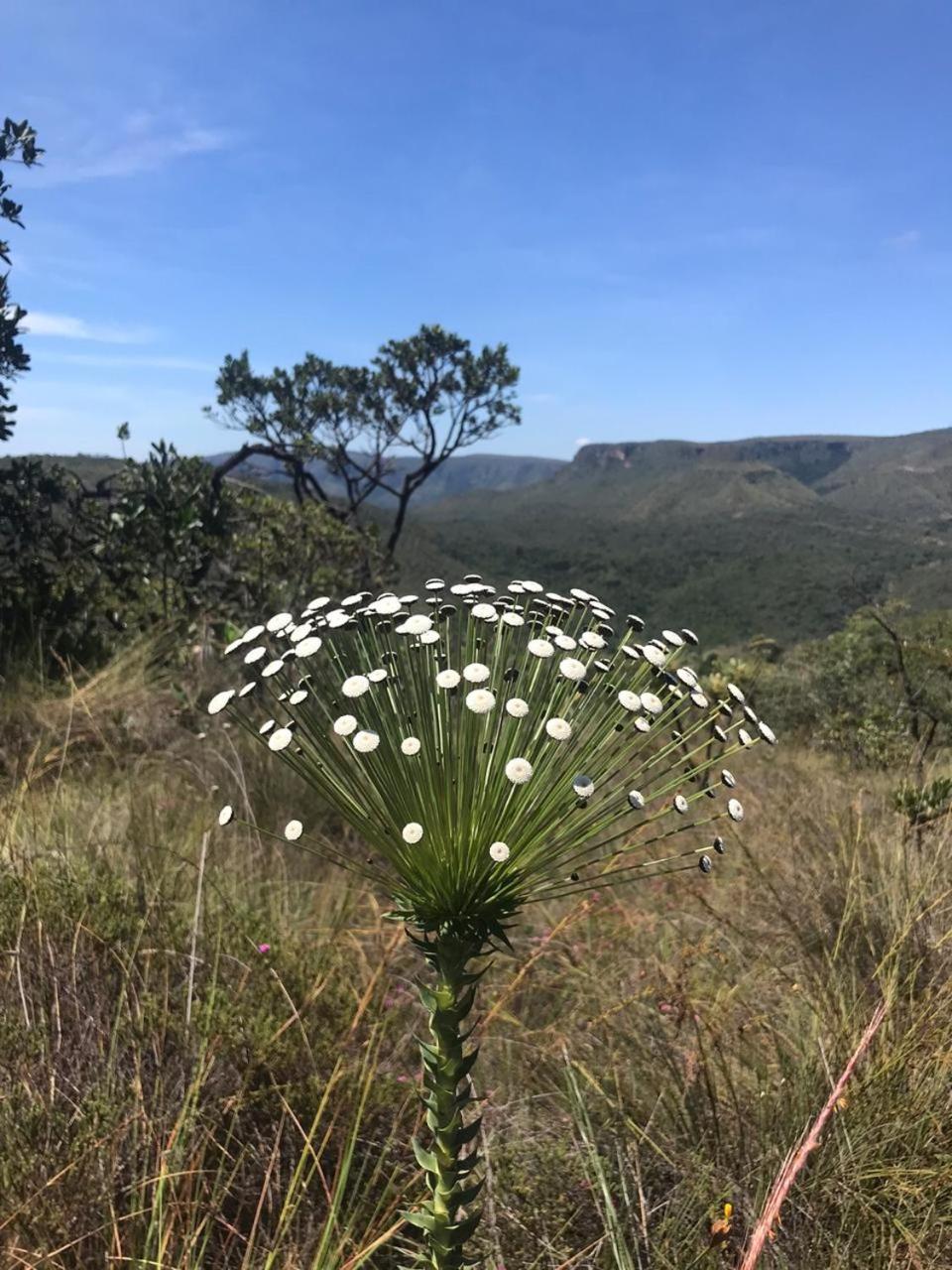 Pousada Estrela Veadeiros