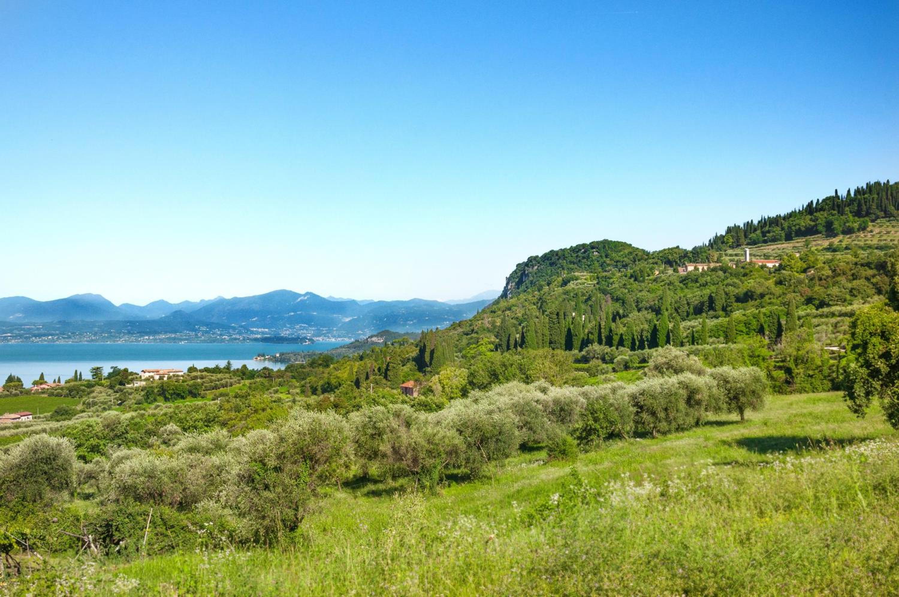 Prati Palai