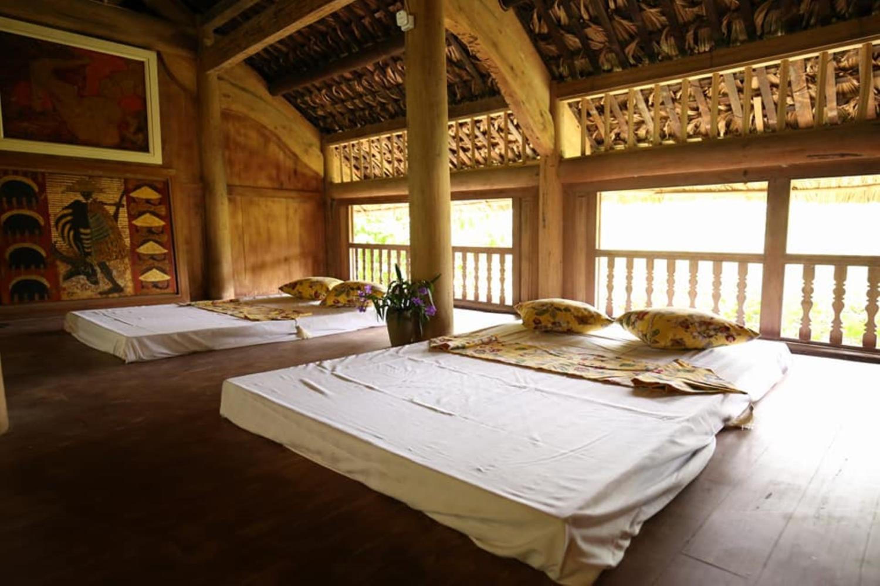 Hoa Mai Viên Sóc Sơn - Venue Travel
