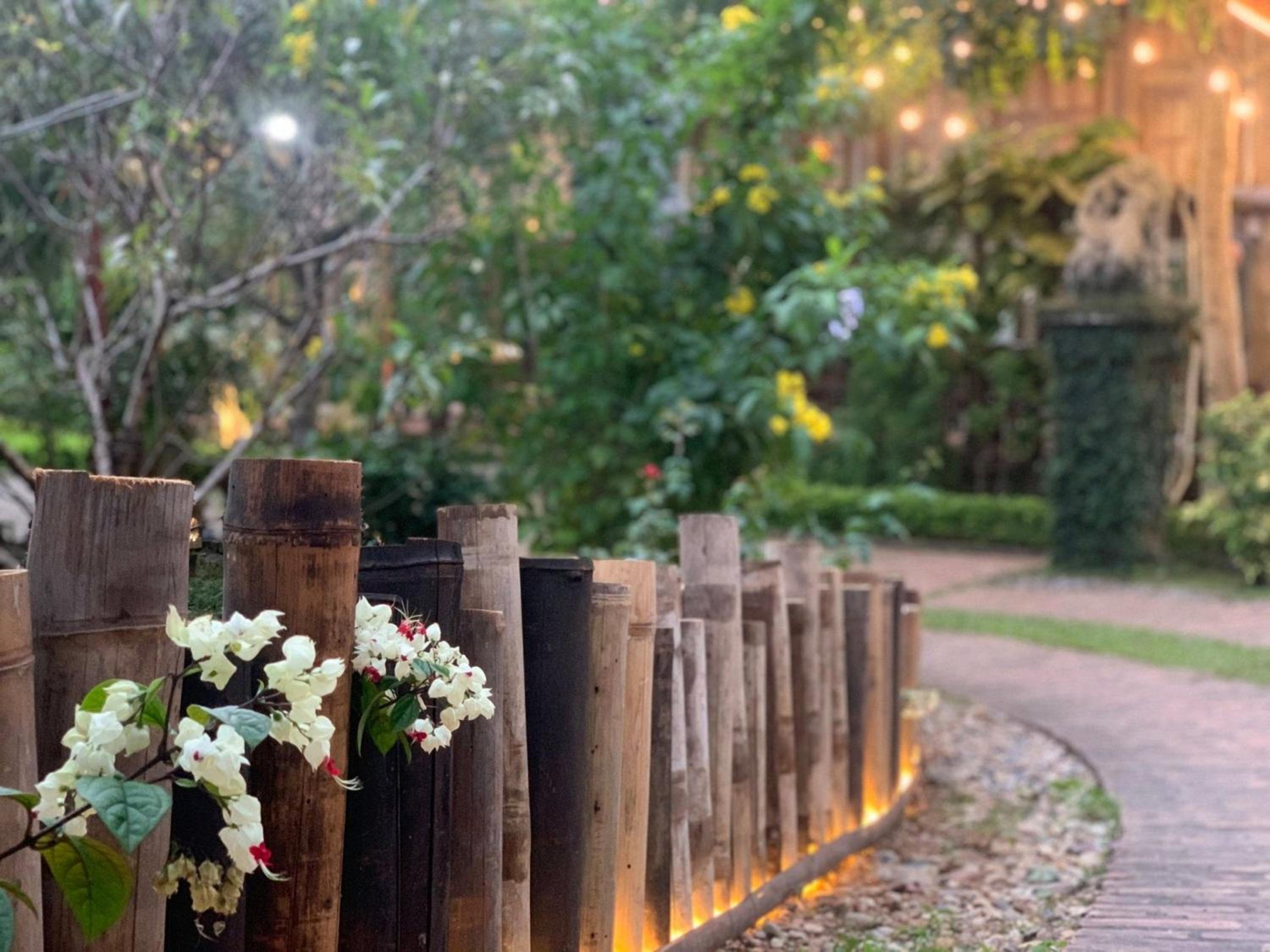 Hoa Mai Viên Sóc Sơn - Venue Travel