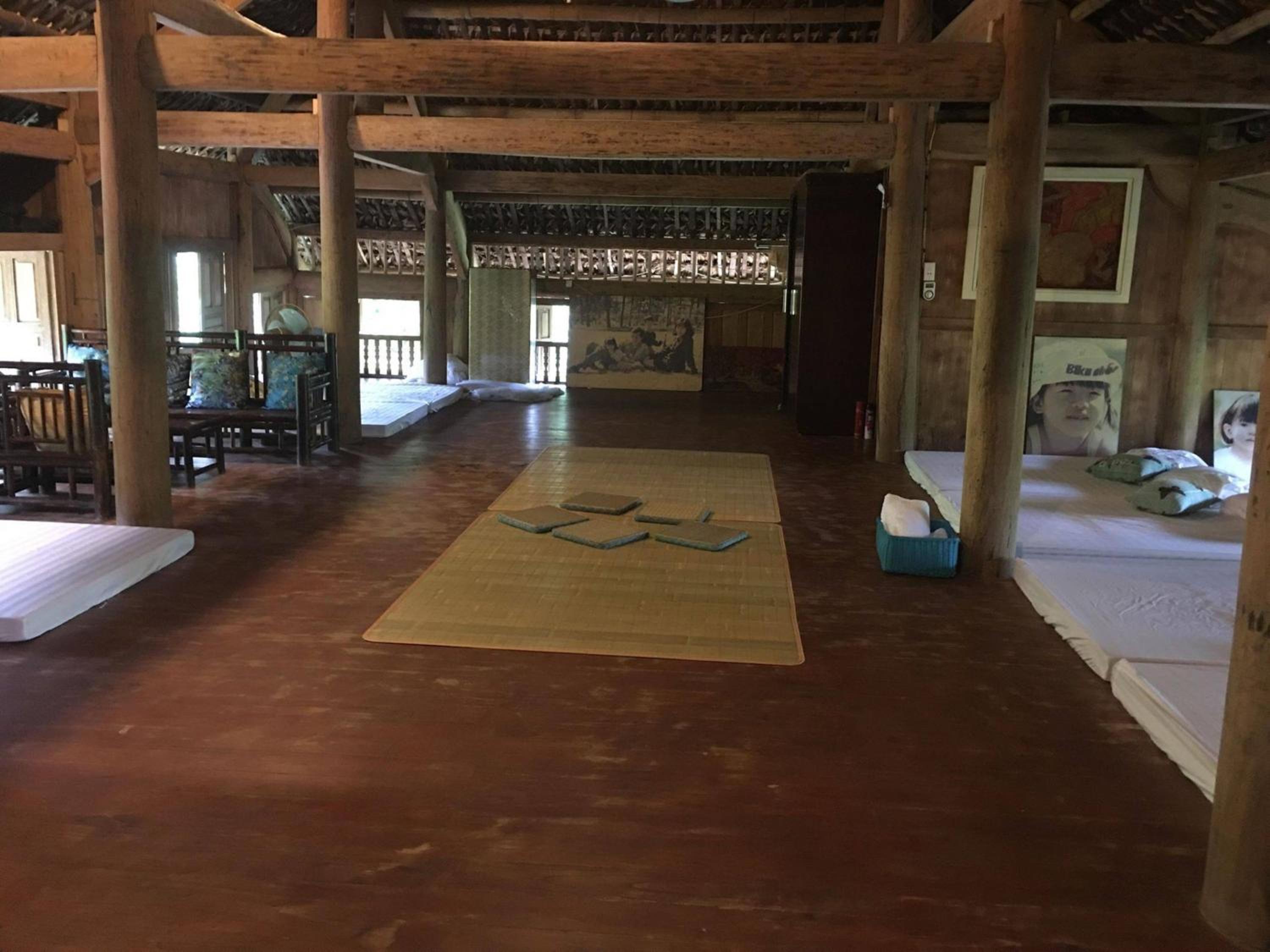 Hoa Mai Viên Sóc Sơn - Venue Travel