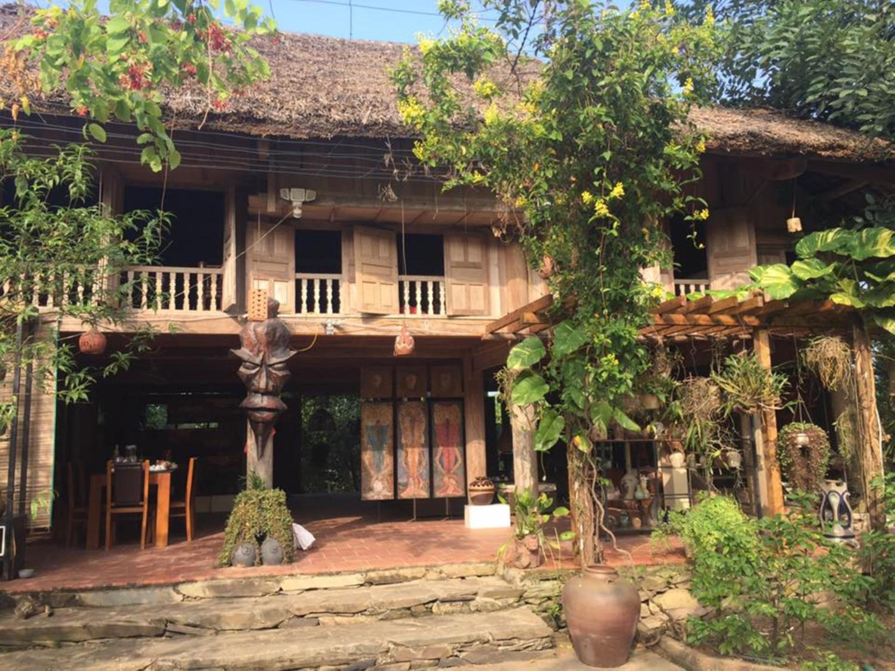 Hoa Mai Viên Sóc Sơn - Venue Travel